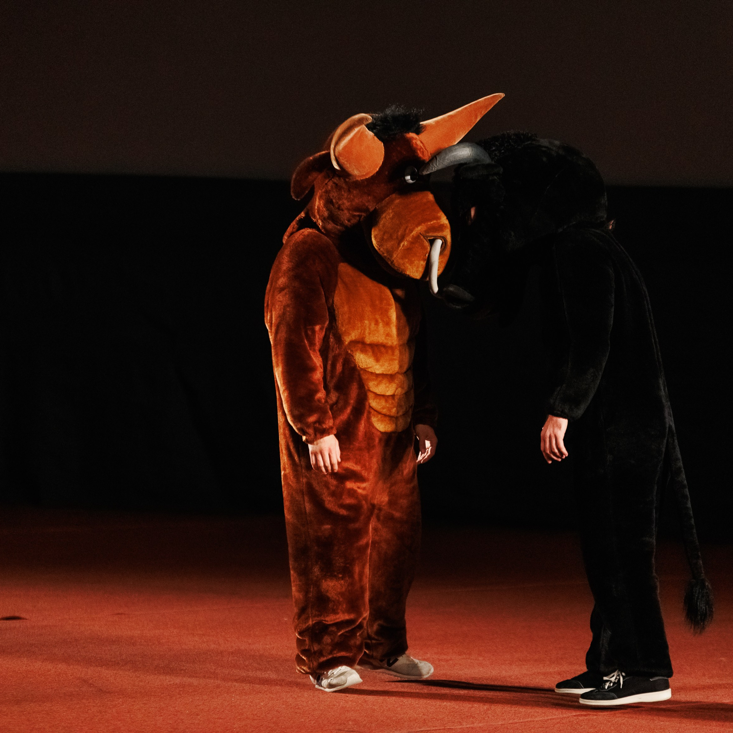 Закрытый показ Шоу. Репортажный фотограф. Москва. Алина Ланская