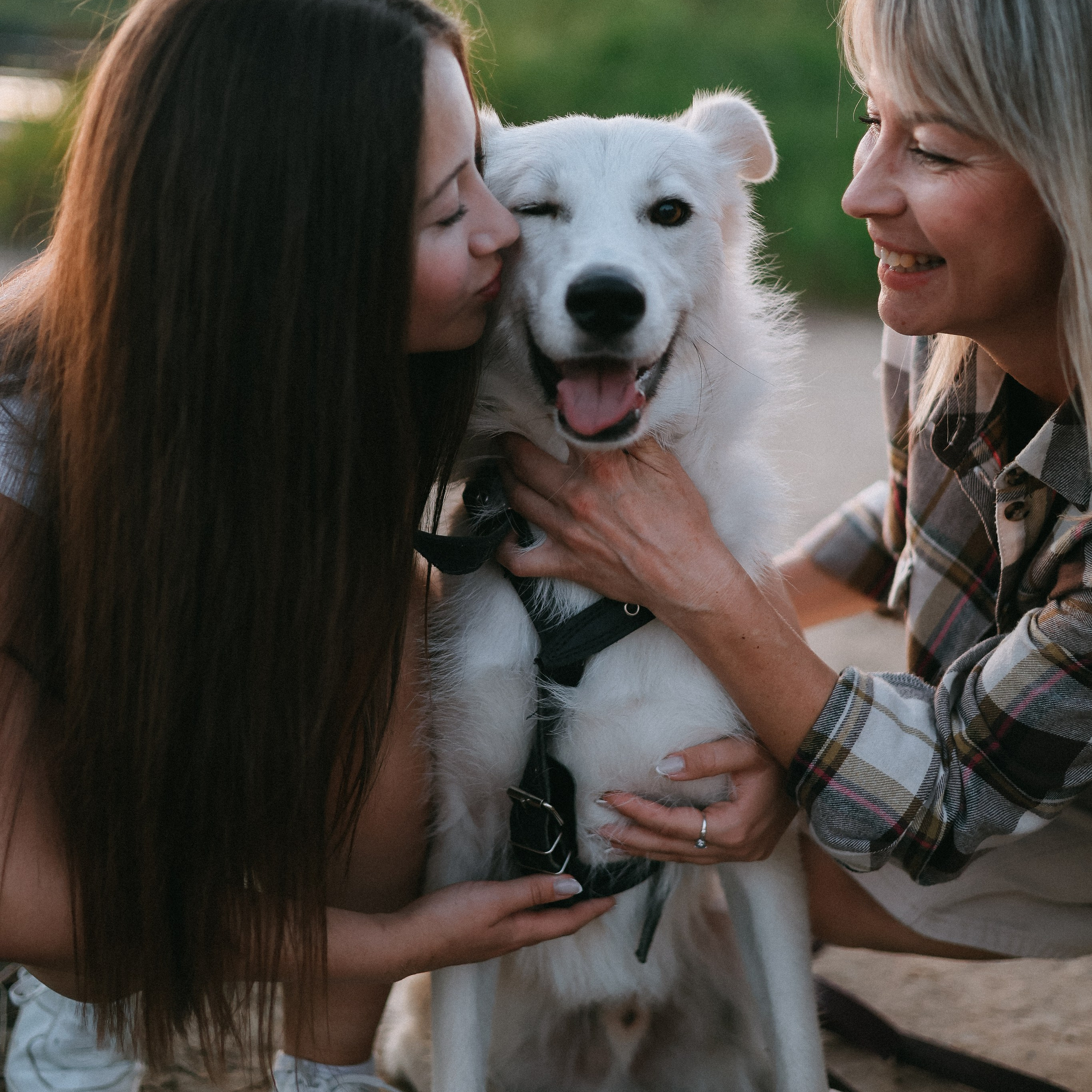 Отзывы. Фотограф Елизавета Наумова