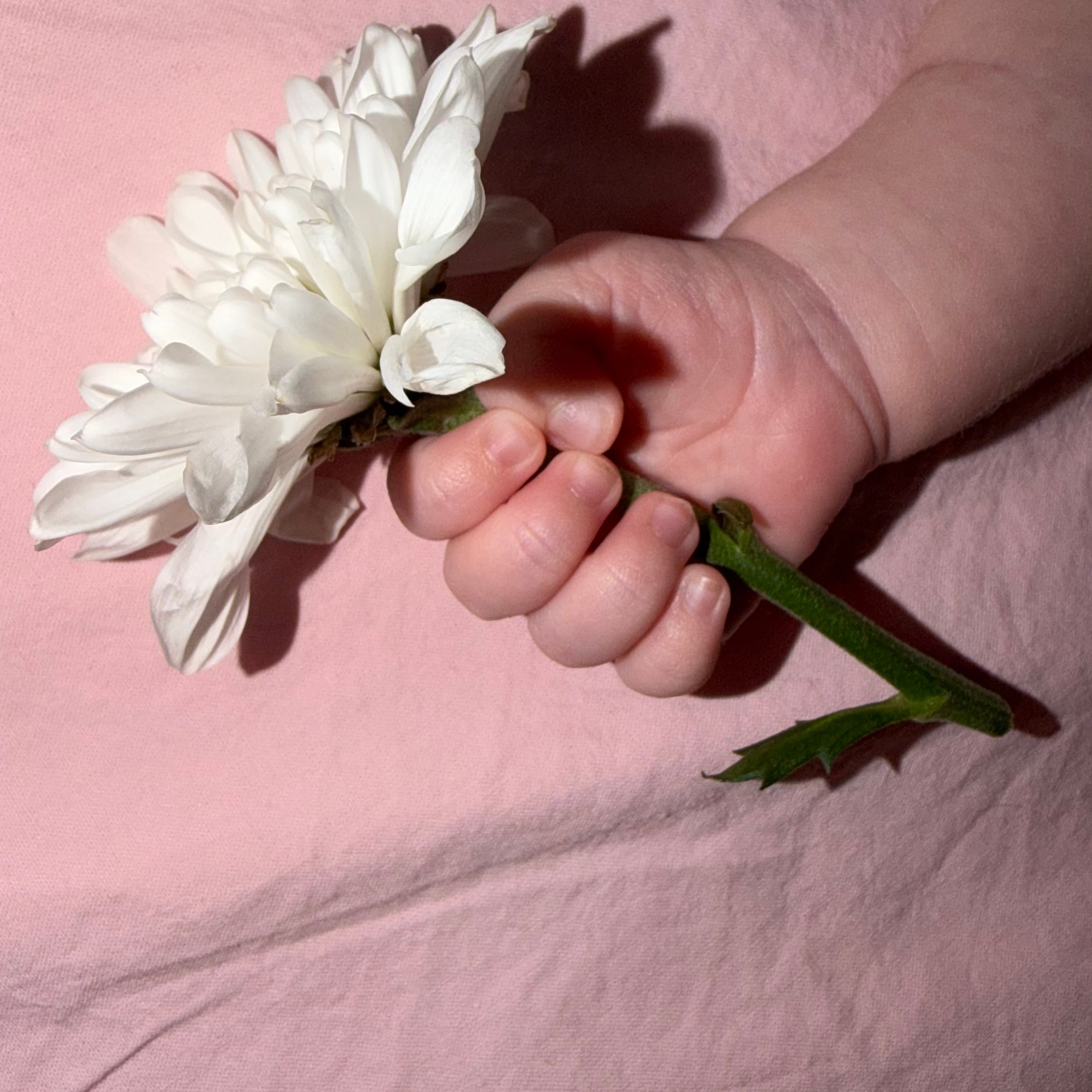 Отзывы. Newborn42.ru Фотограф новорожденных  г. Кемерово Агафонова Жанна