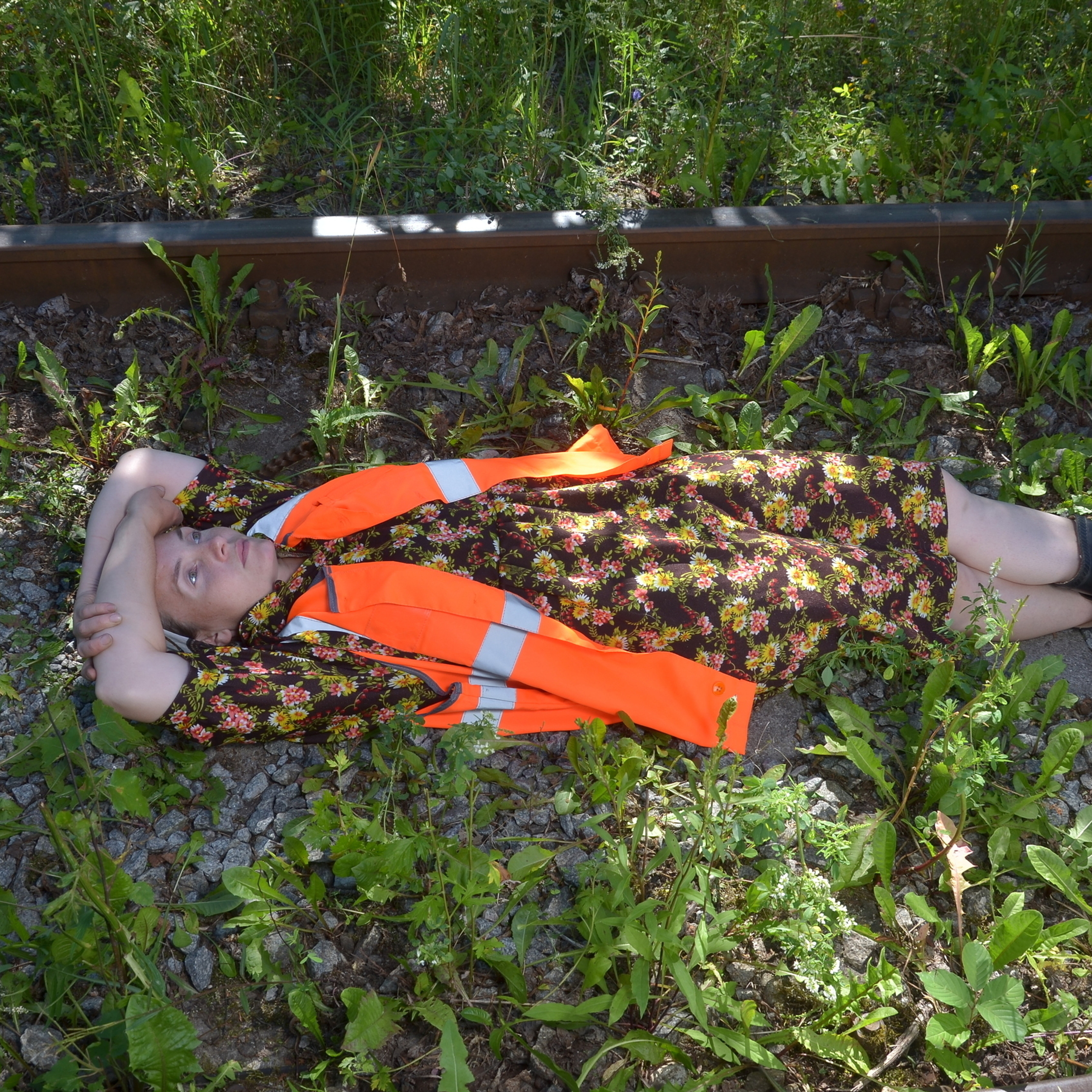 Там где раньше ходил паровоз, теперь выгуливают коз