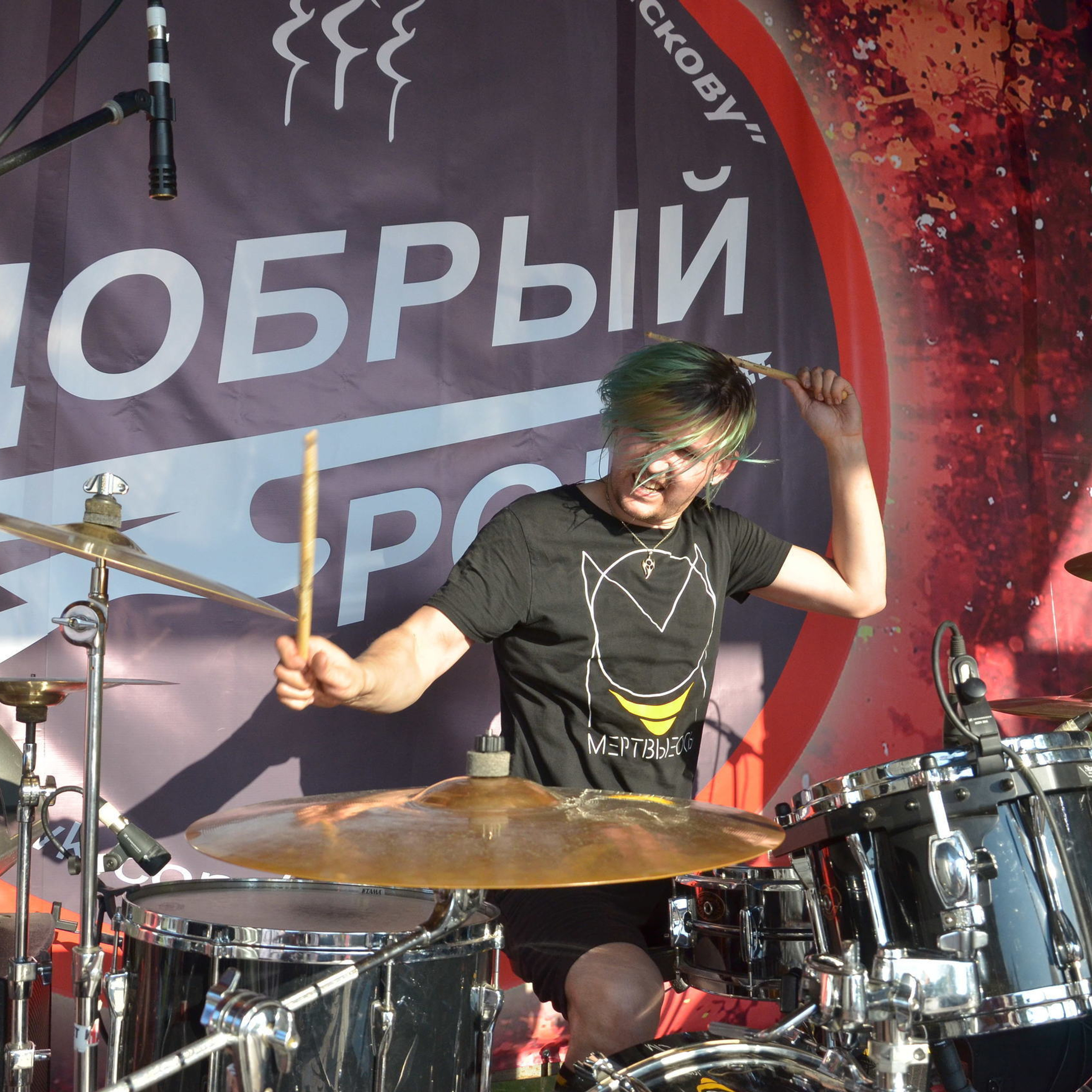 Мёртвые осы