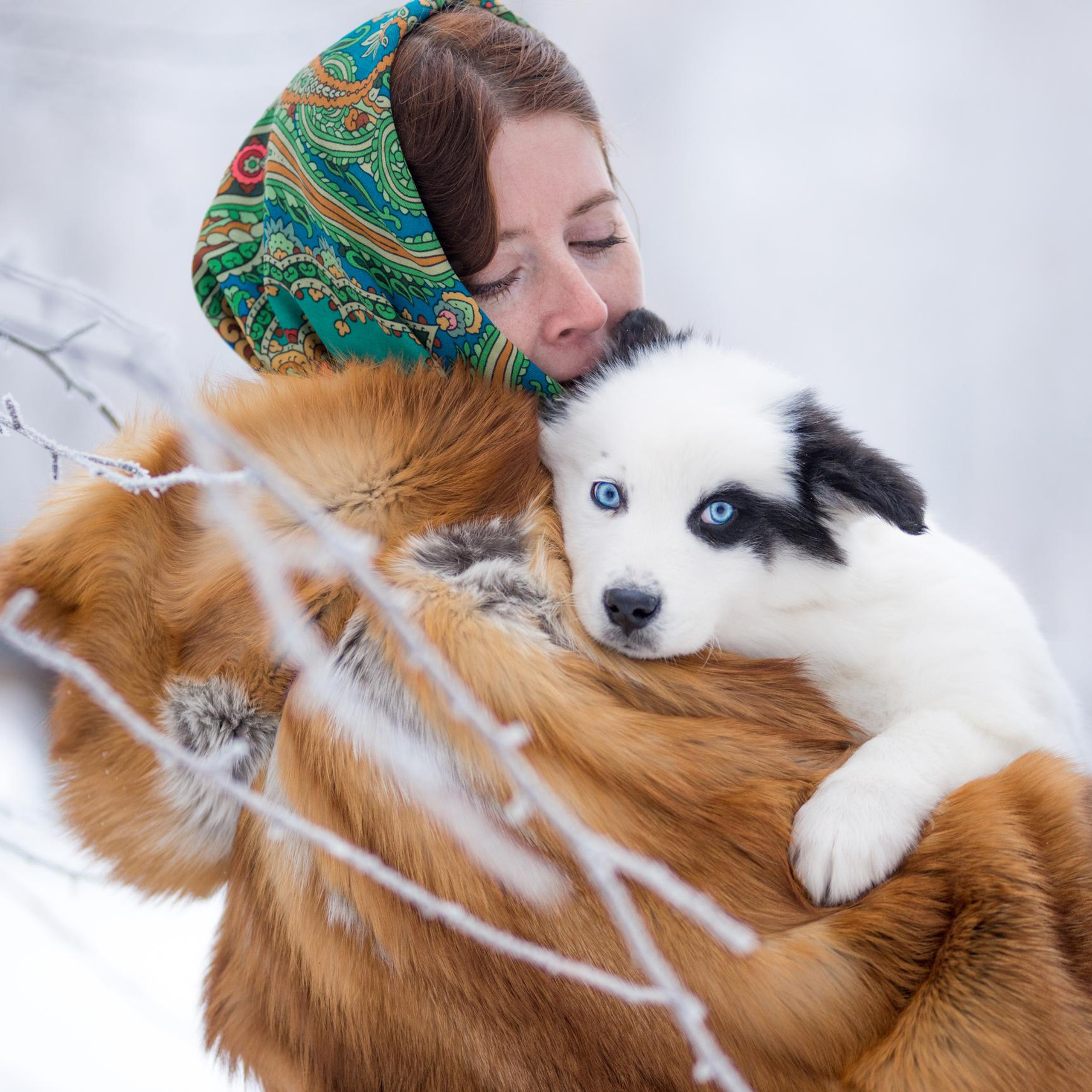 Якутские лайки