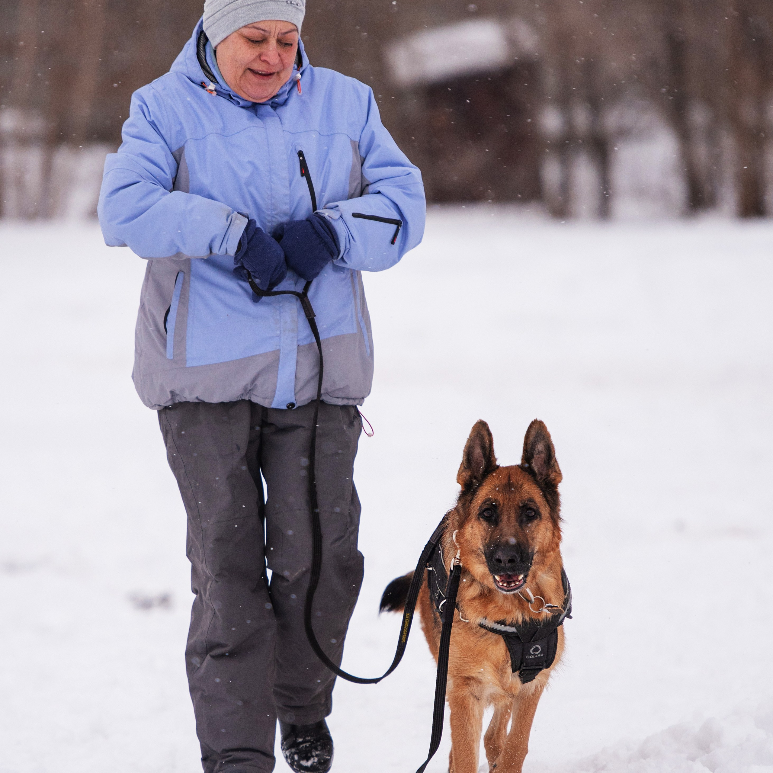 Отзывы. Дог-фотограф в Тюмени Александра Королева