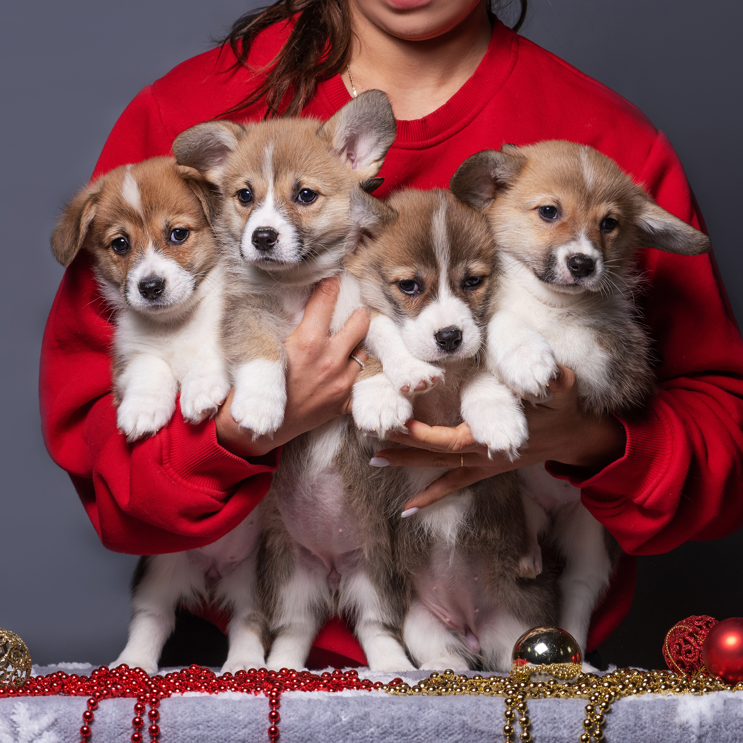 Новогодние коржики с сахарной посыпкой