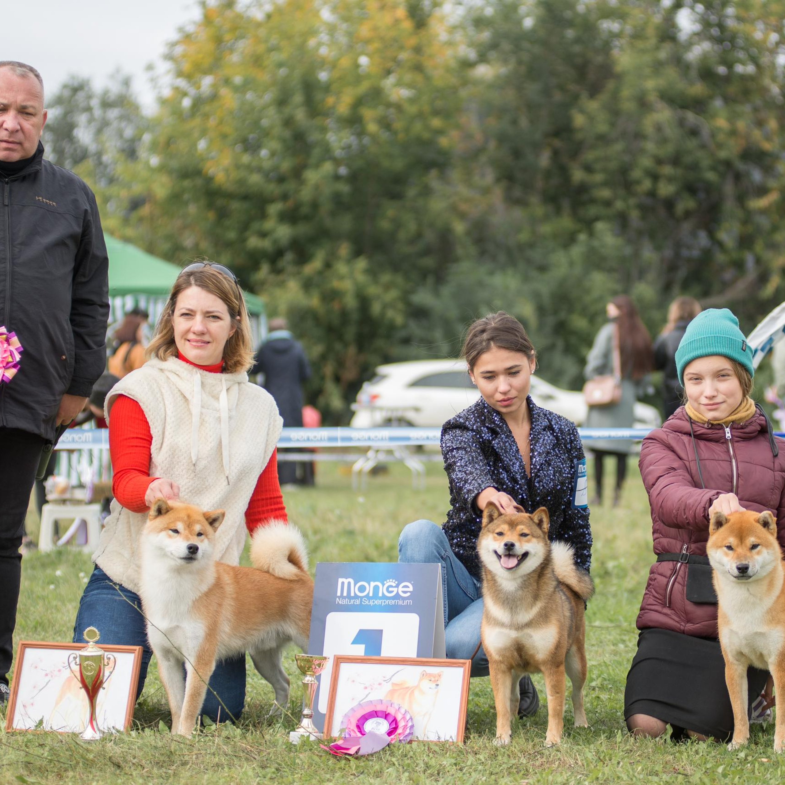 Выставка собак. Тюмень 06.09.2020