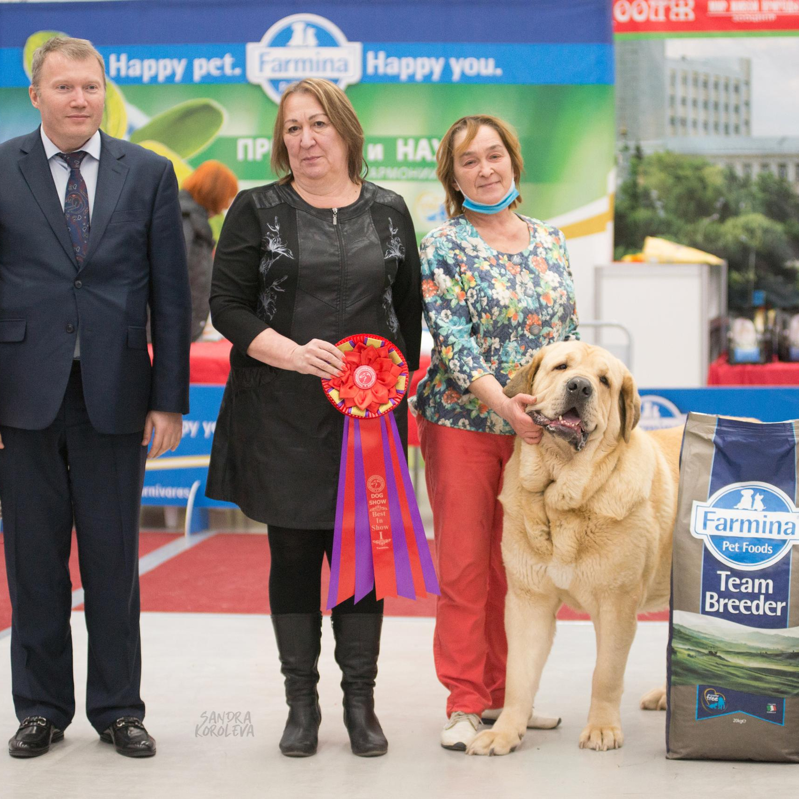 Выставка собак в Тюмени 5 декабря 2020