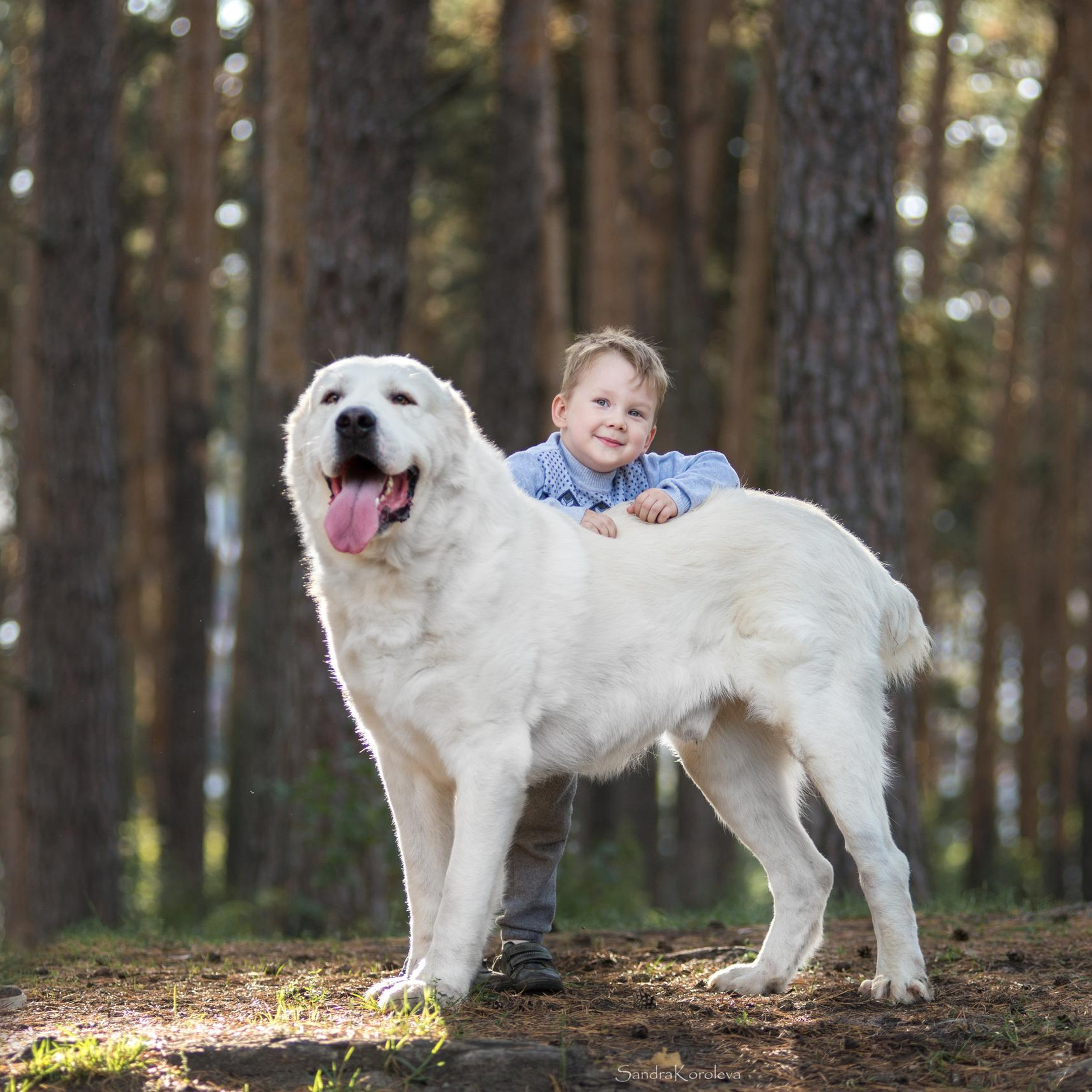 Ваня со своим другом белым Мишей