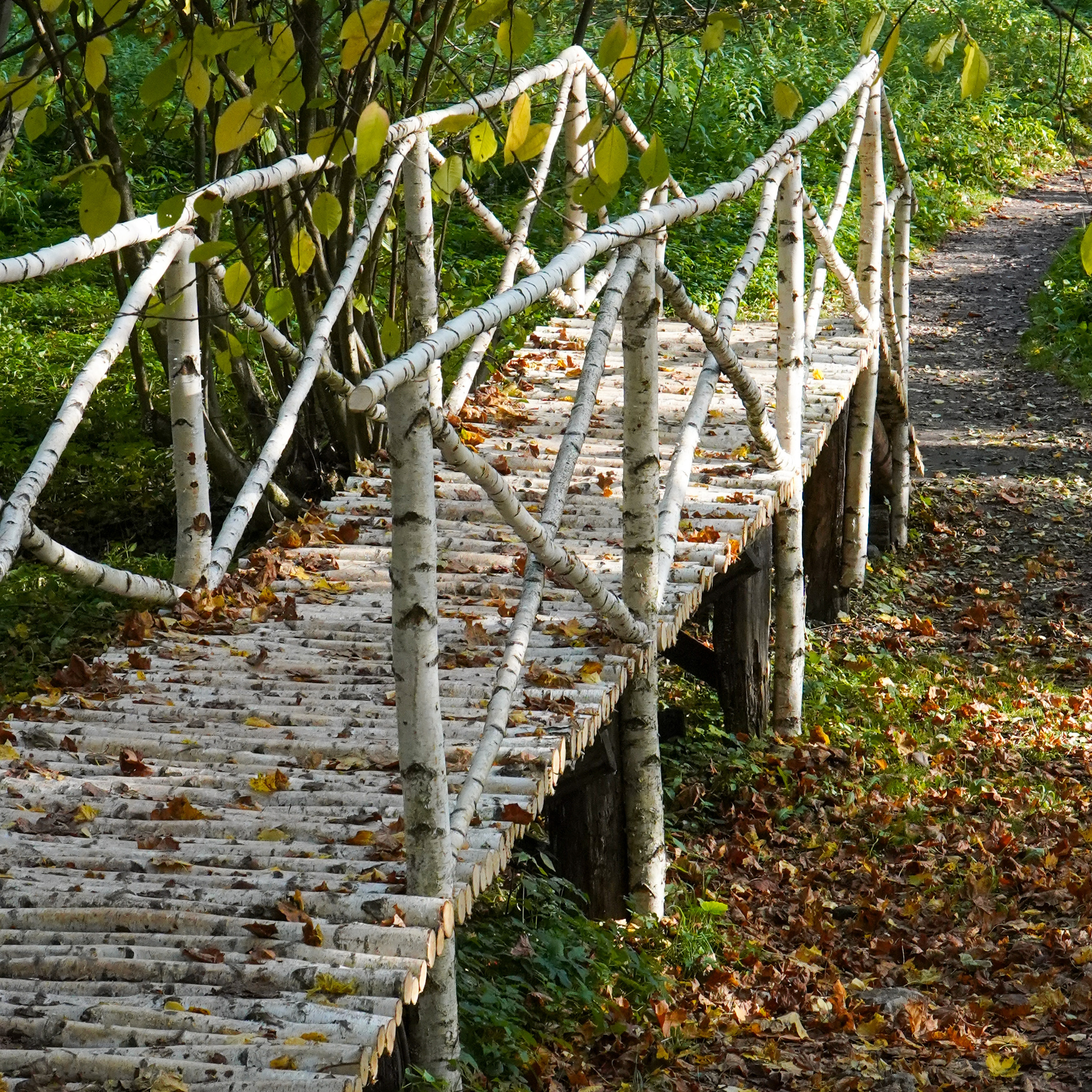 ТУЛА. Ясная поляна. Октябрь 2023