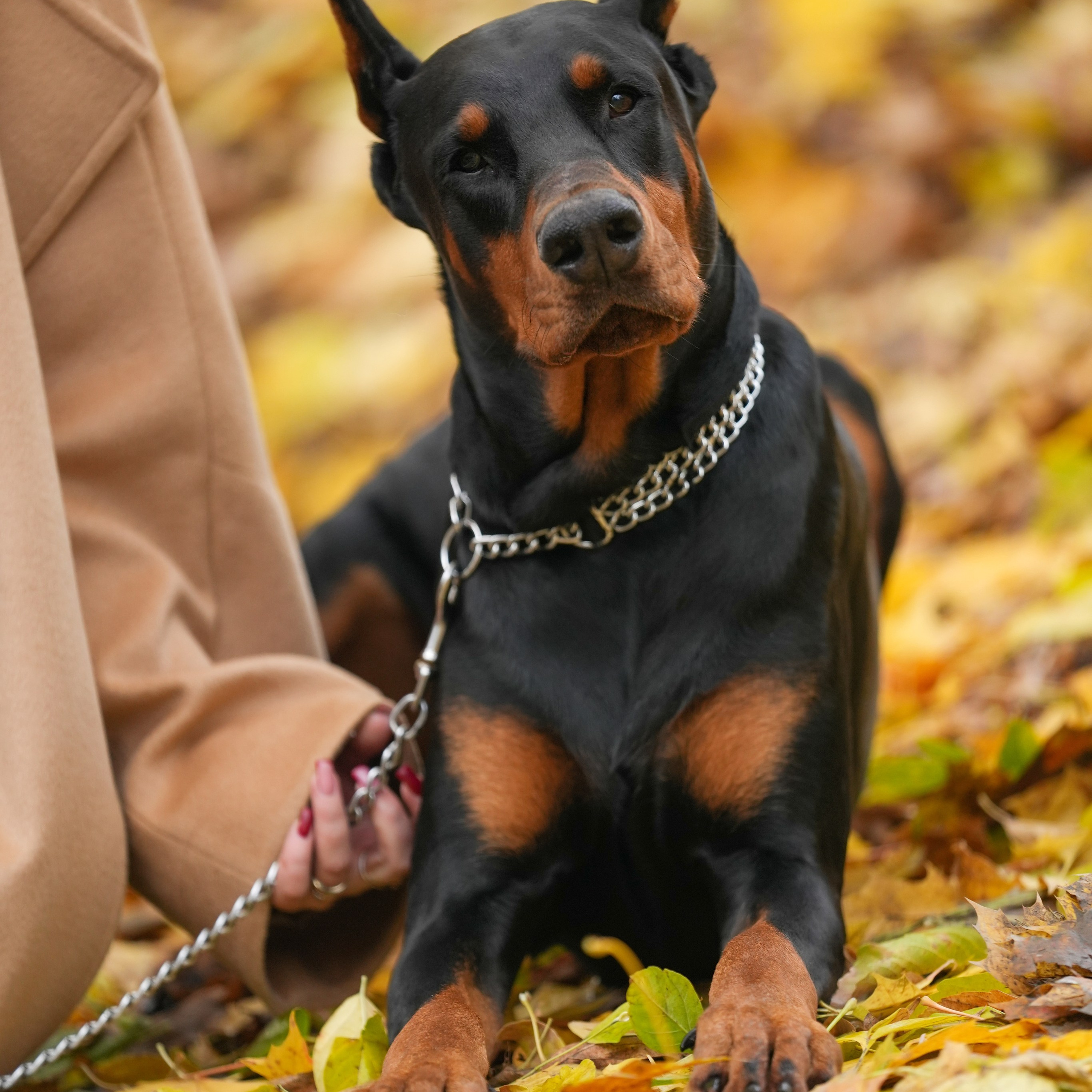 Фотограф Наталья Погодина в г. Обнинске