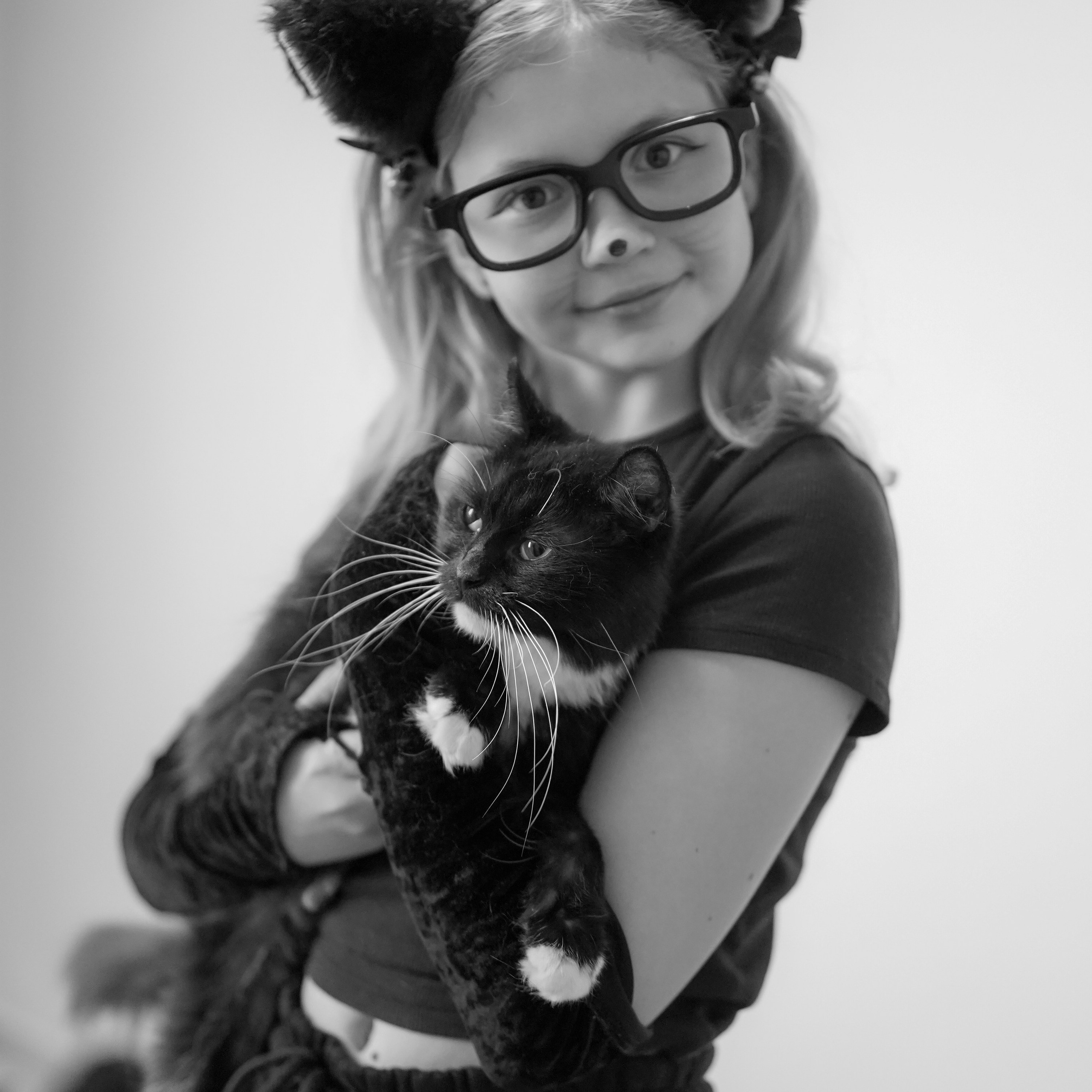 КОШКИ