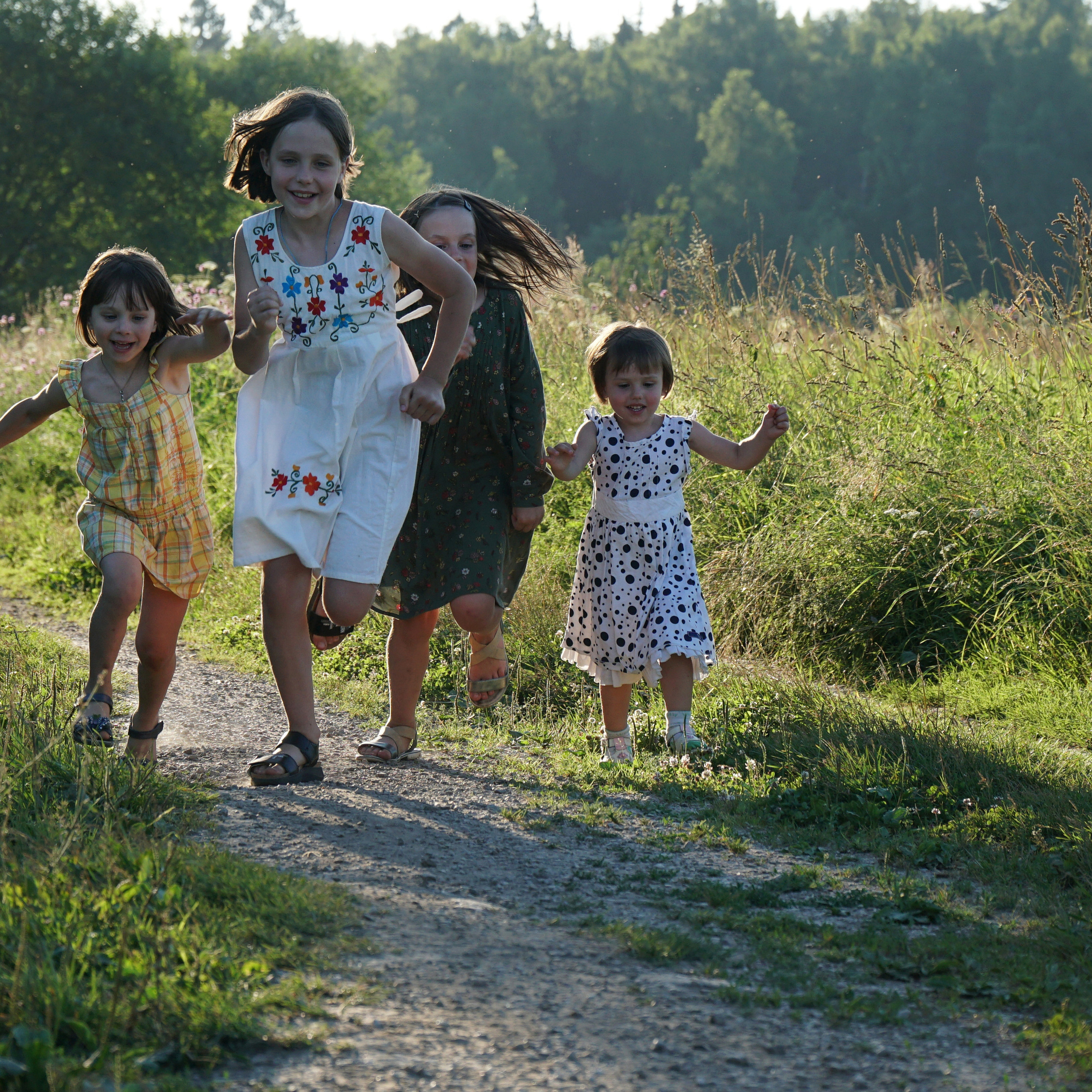 Летом в поле