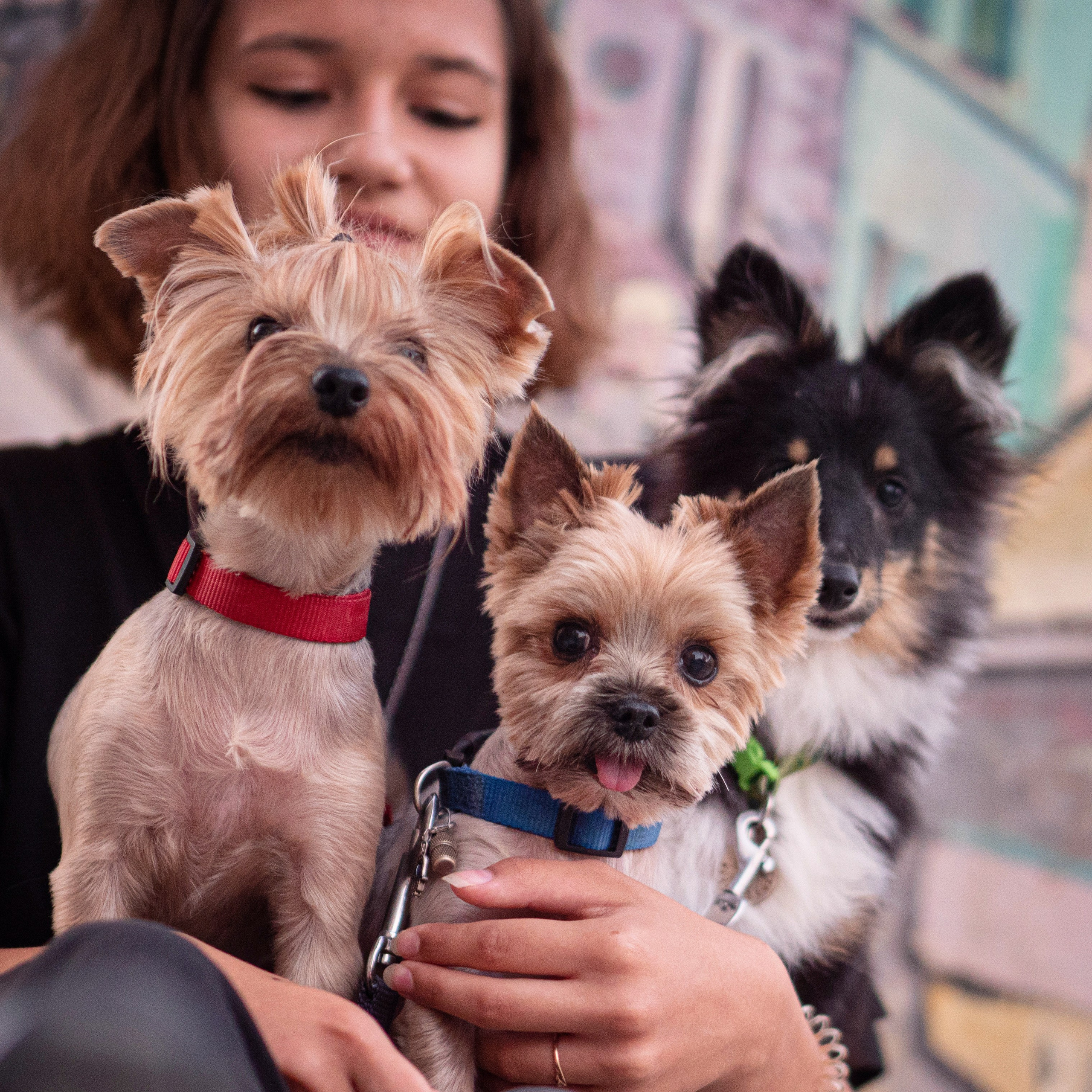 Отзывы. Kameramotor74