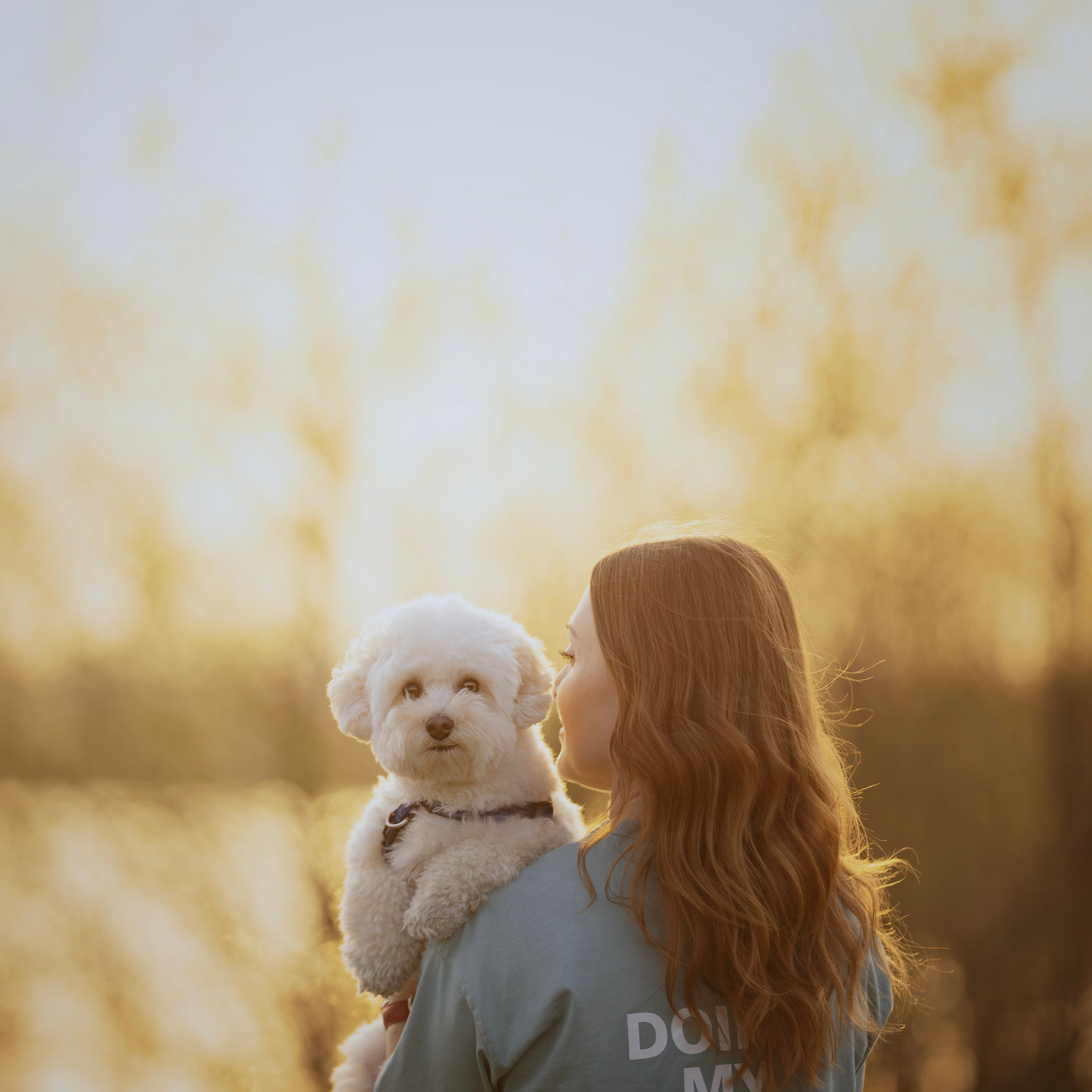 Отзывы. Kameramotor74