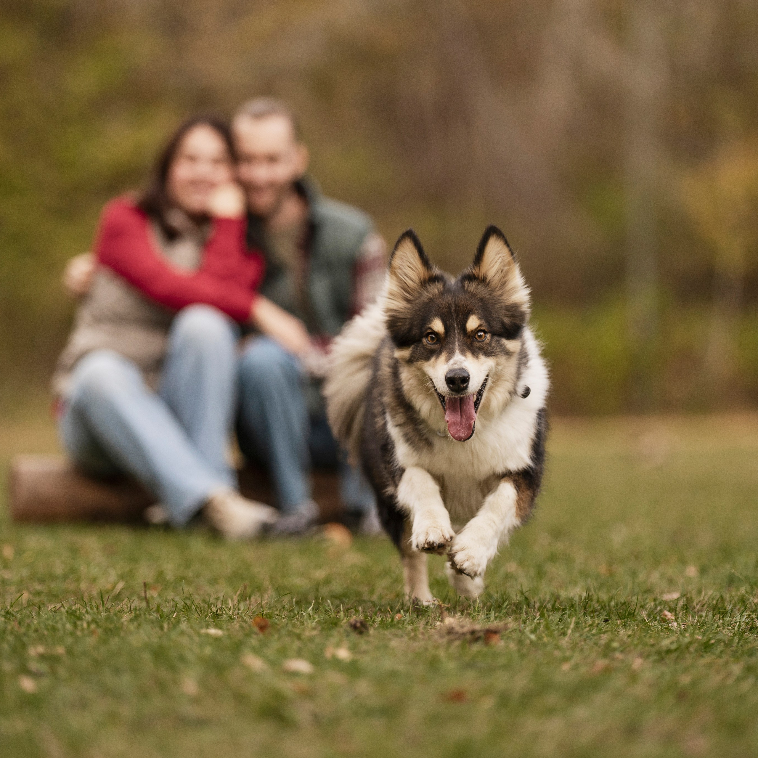 Катя + Сергей и Джек