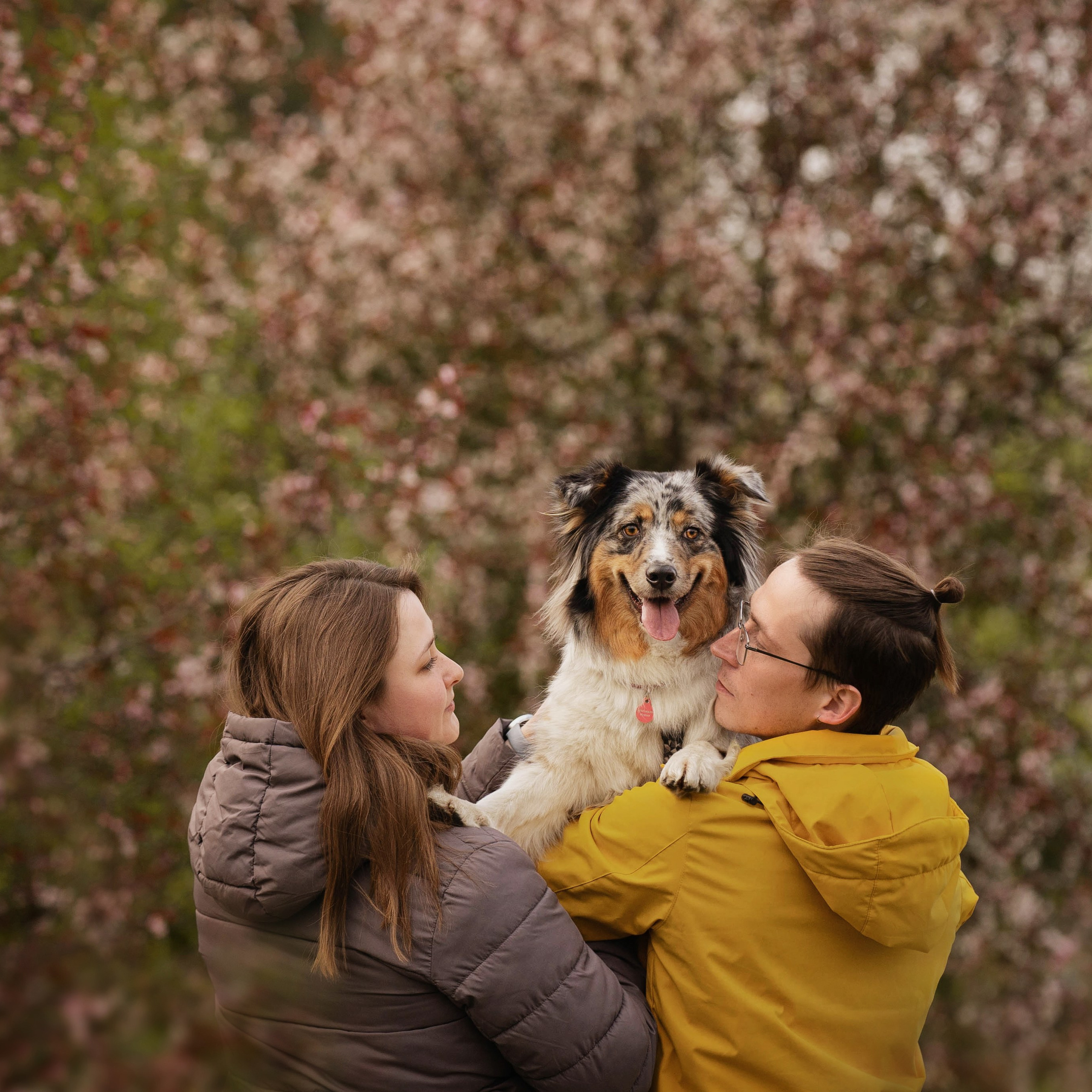 Николай и его девчонки