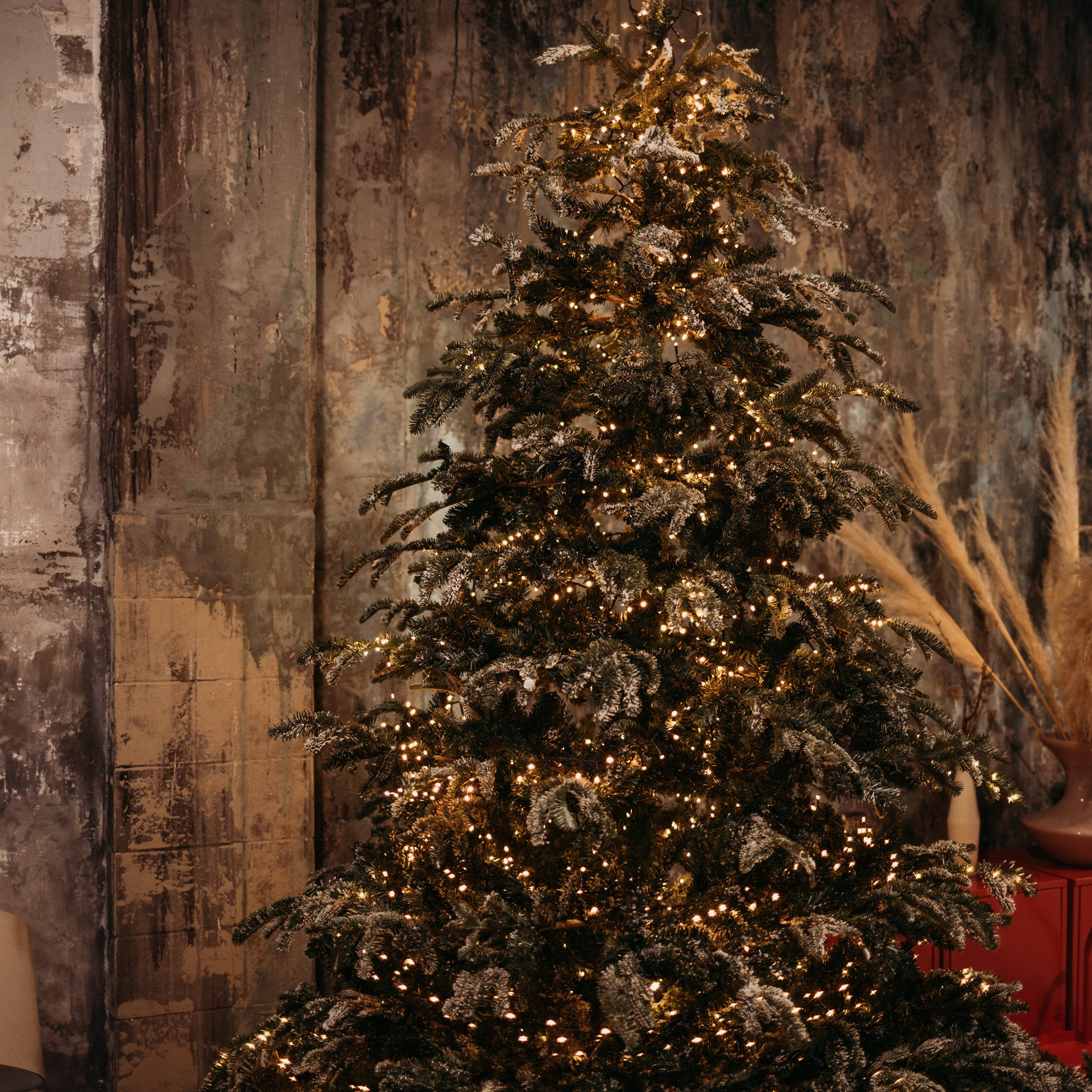 Отзывы. Семейный и детский фотограф в Москве Александра Нараевская