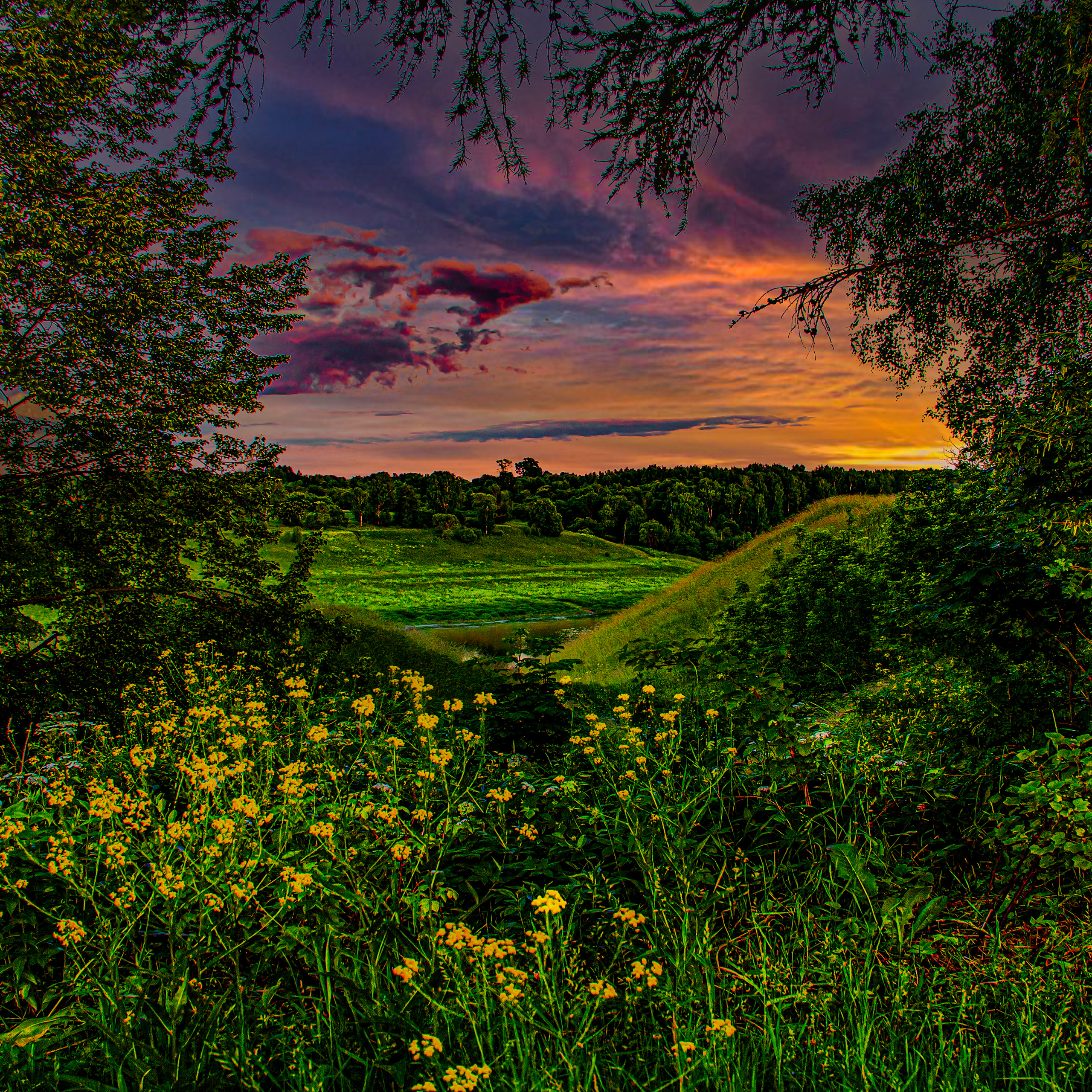 Природа Старицкого края. Закат.