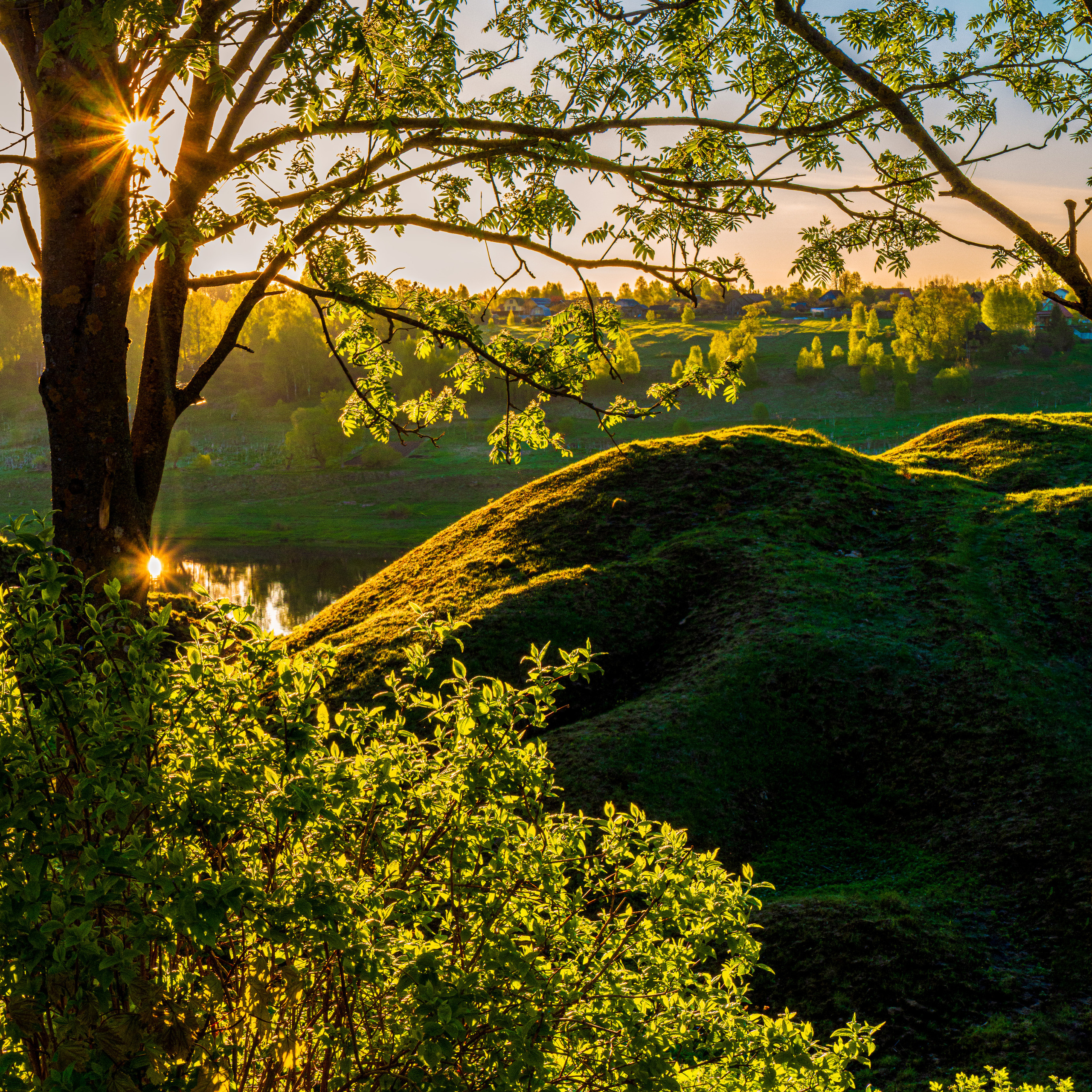 Тихое утро.