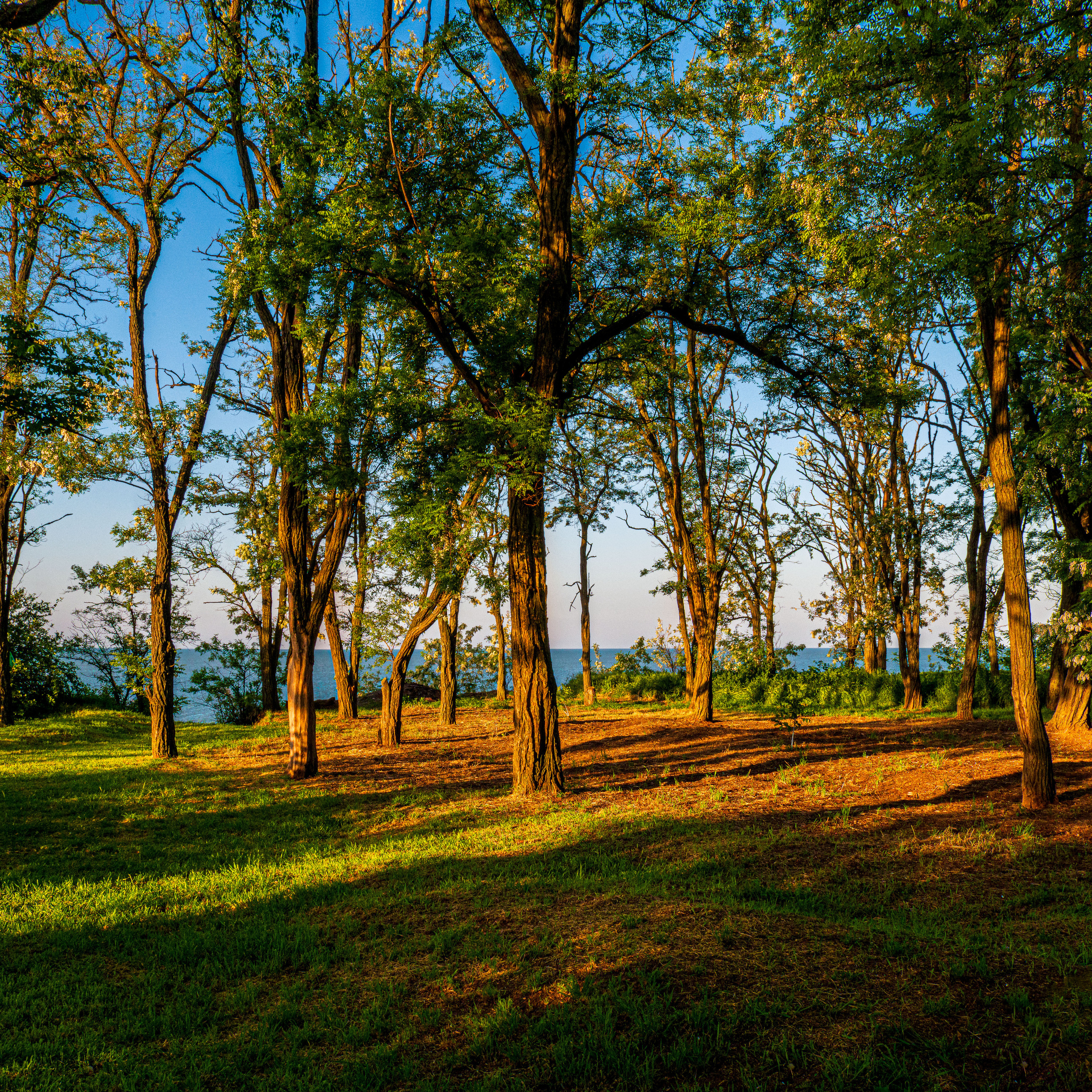 Золотая Коса рассвет.