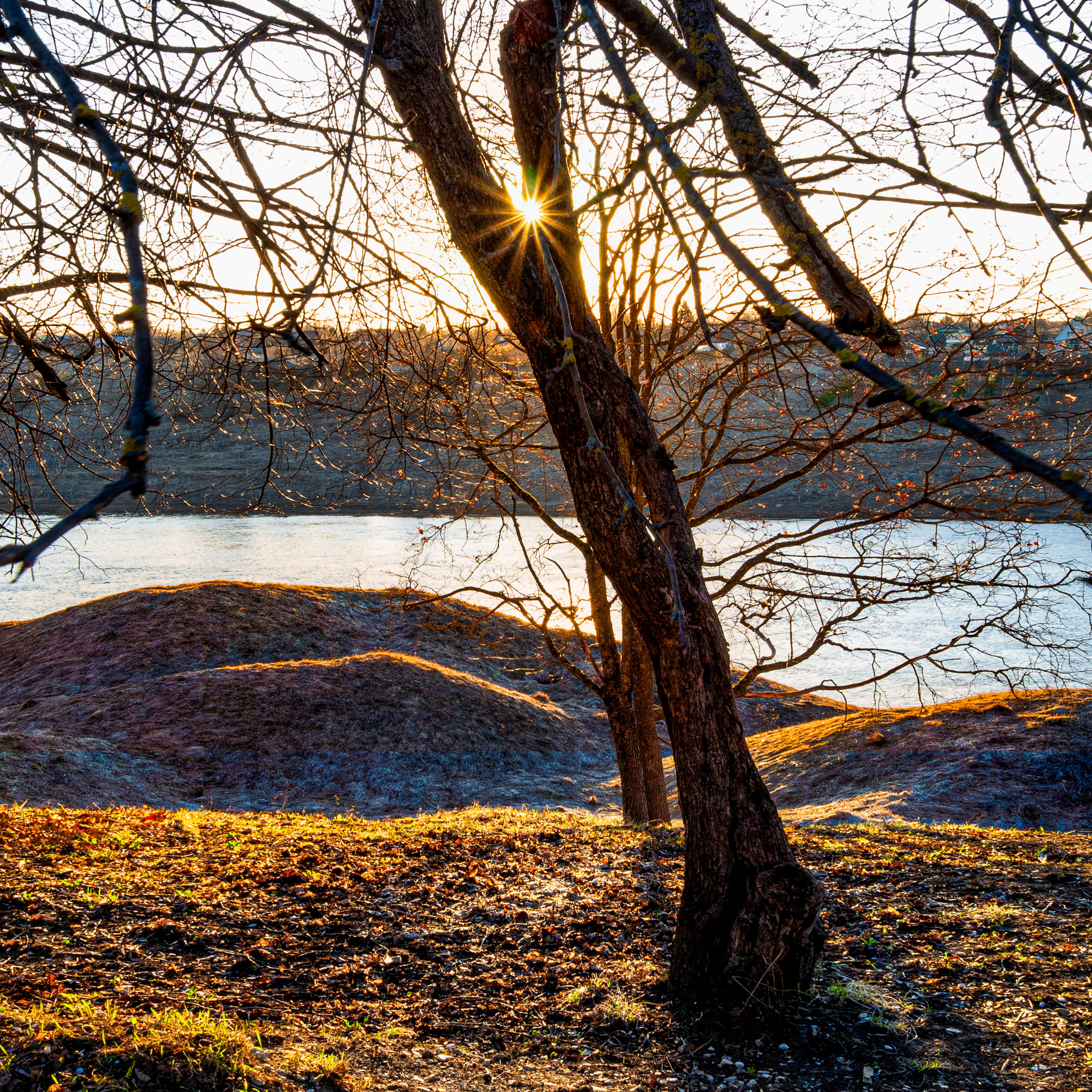 Природа Старицкого края. Весна.