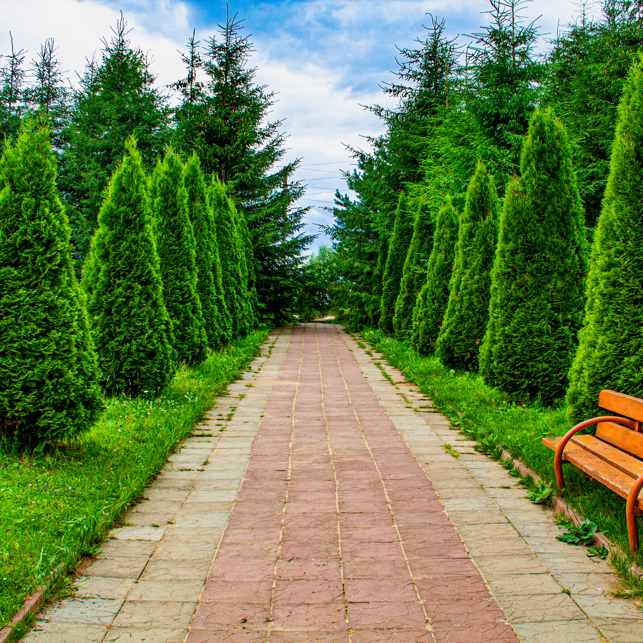 Святой источник, исток Реки Волги