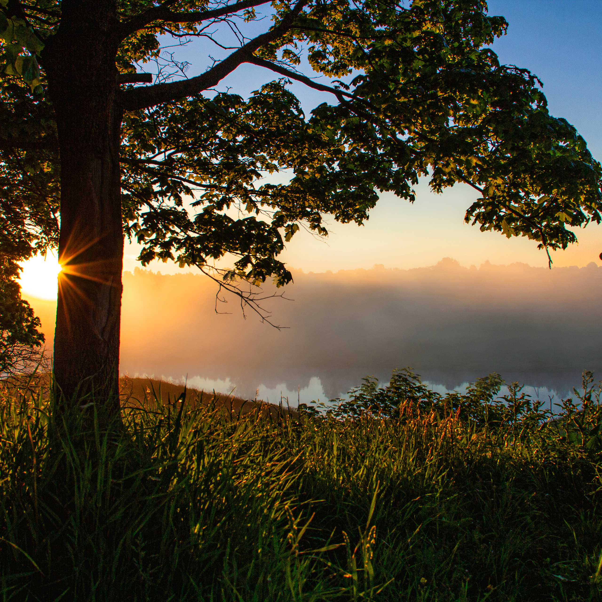 Природа Старицы, рассвет.
