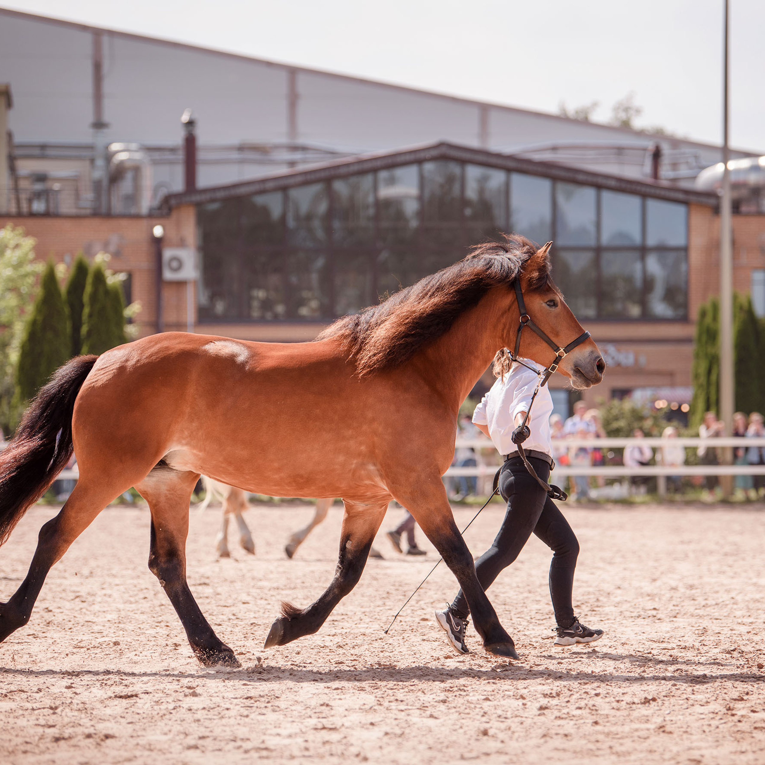 Отзывы. Sashkina.ru