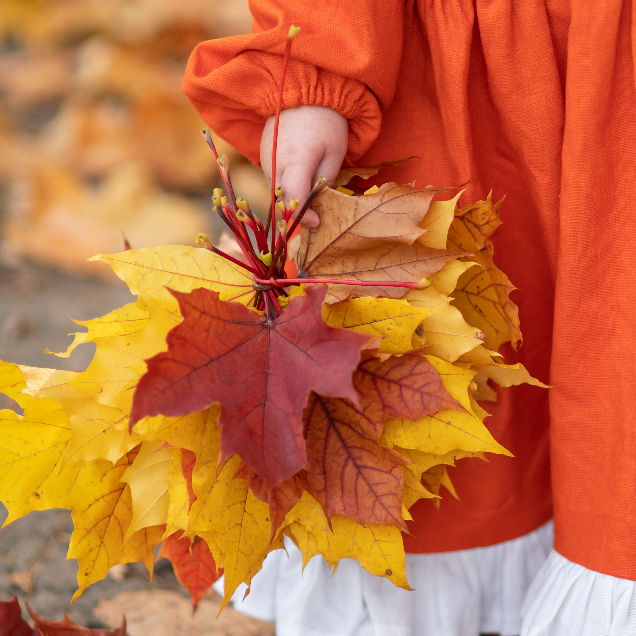 Отзывы. Детский и семейный фотограф в Переславле-Залесском Елена Усова
