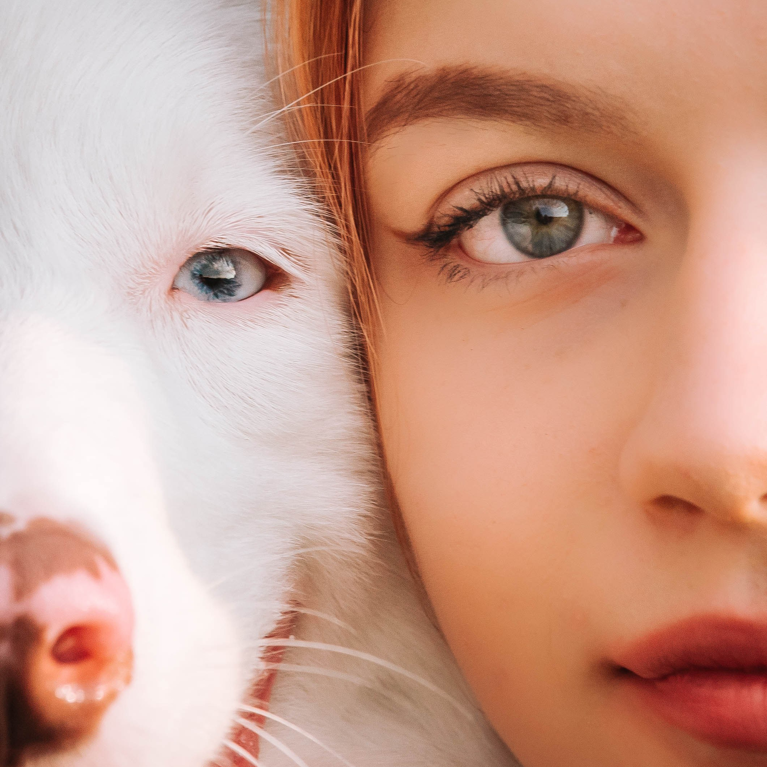 Лиза и Айви