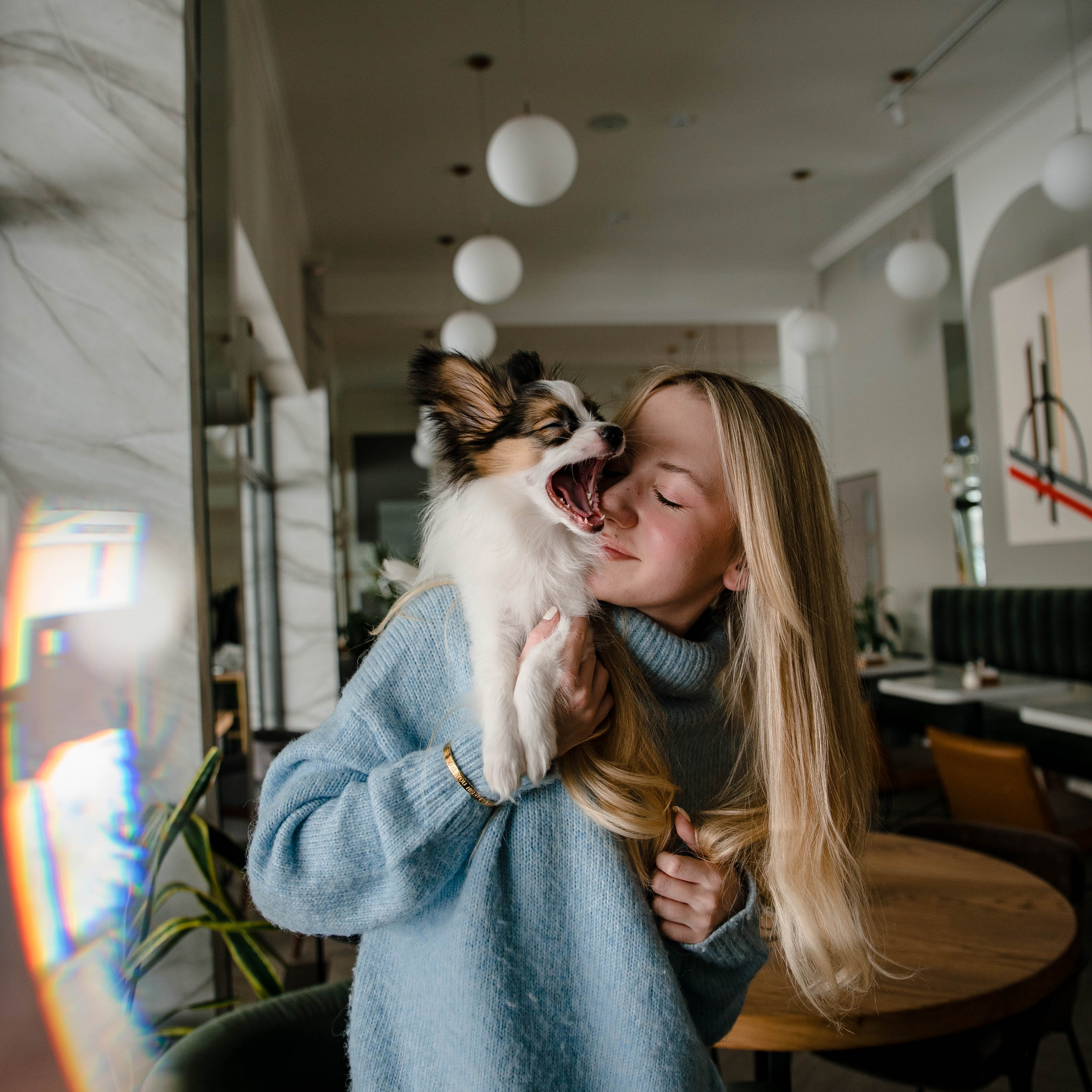 Настя, Света и Папийон Луней