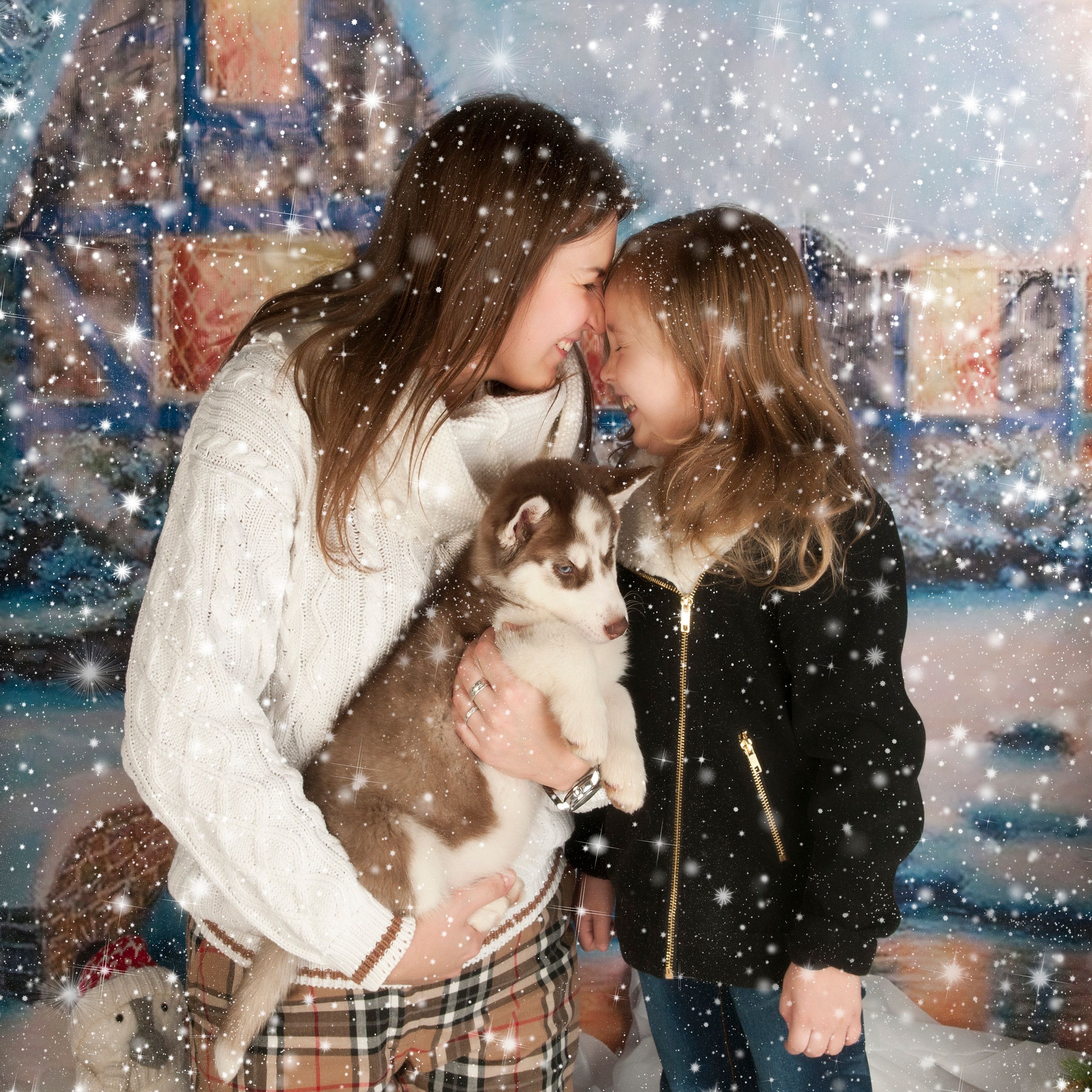 Катюши и хаски