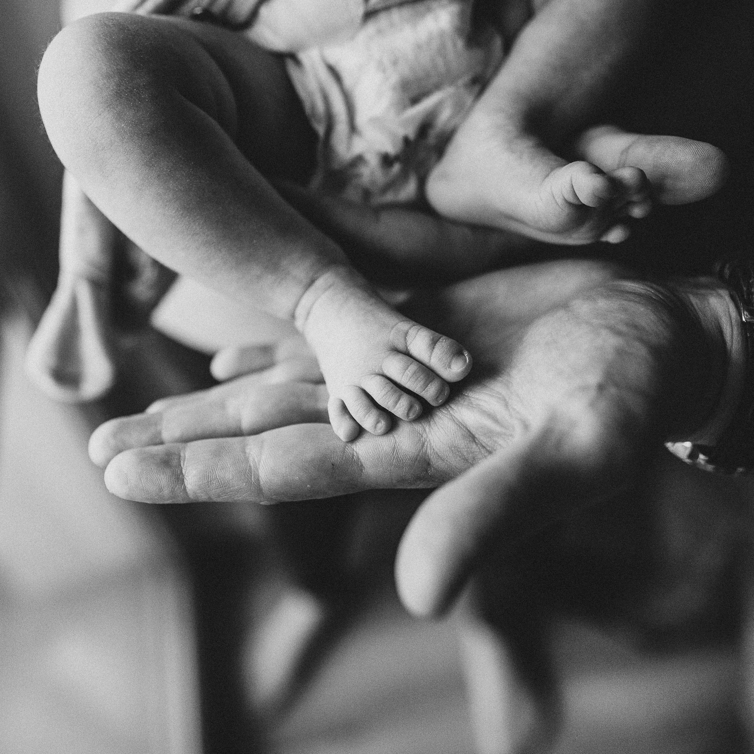 Отзывы. Семейный фотограф в Краснодаре Анна Пасик