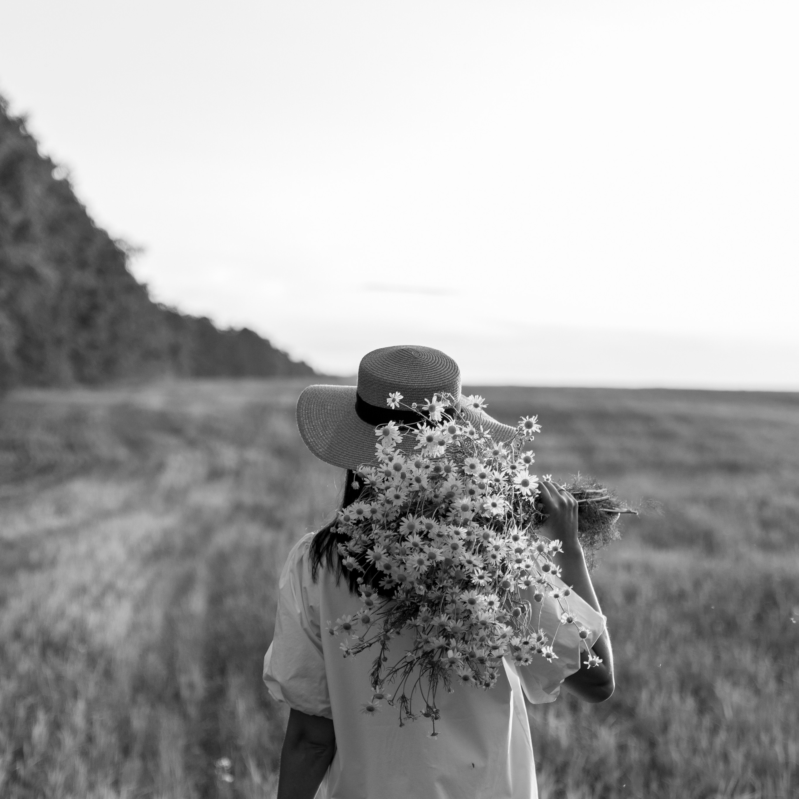 Отзывы. Dmitry Golenko