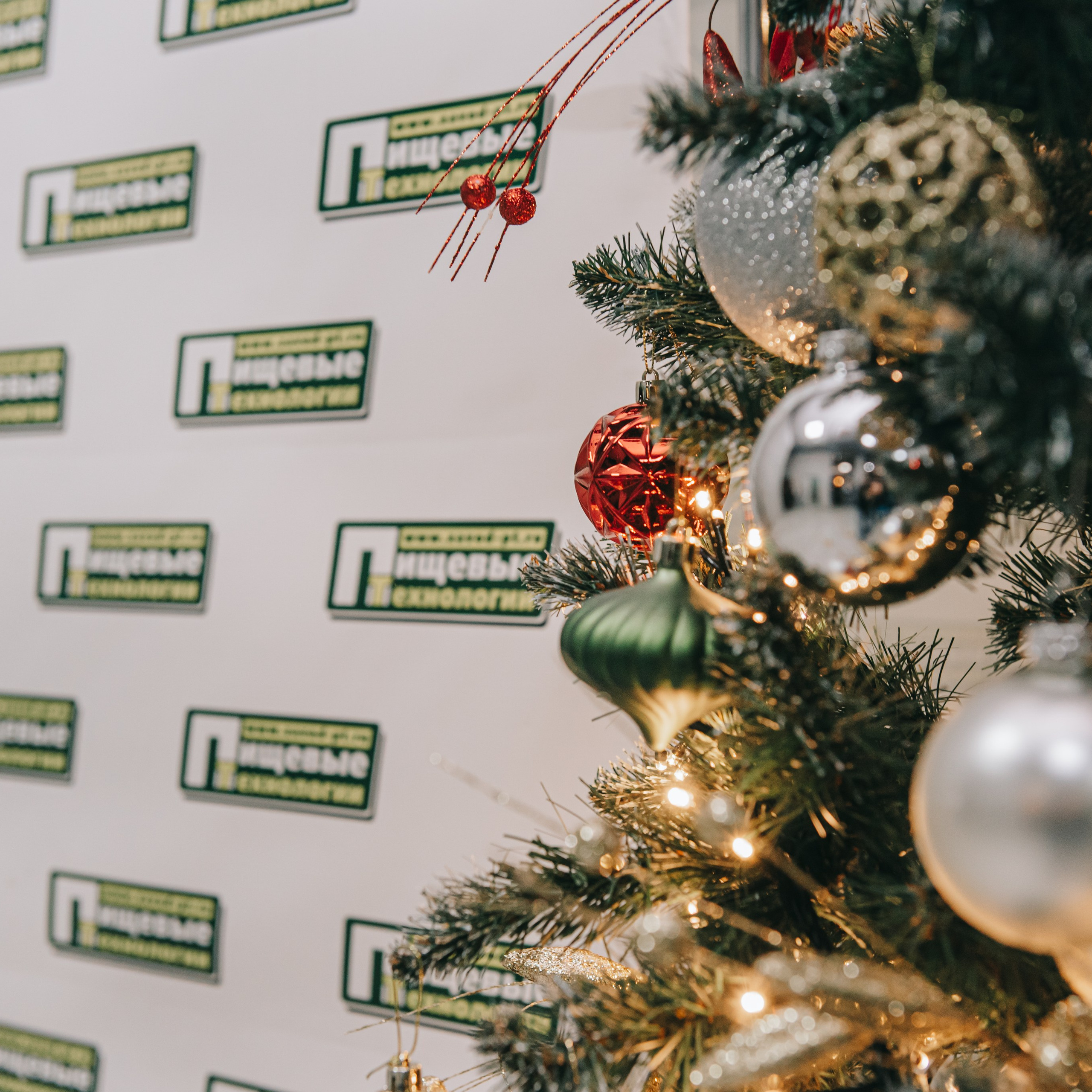 Отзывы. Фотограф в Краснодаре Зеленкина Дарья