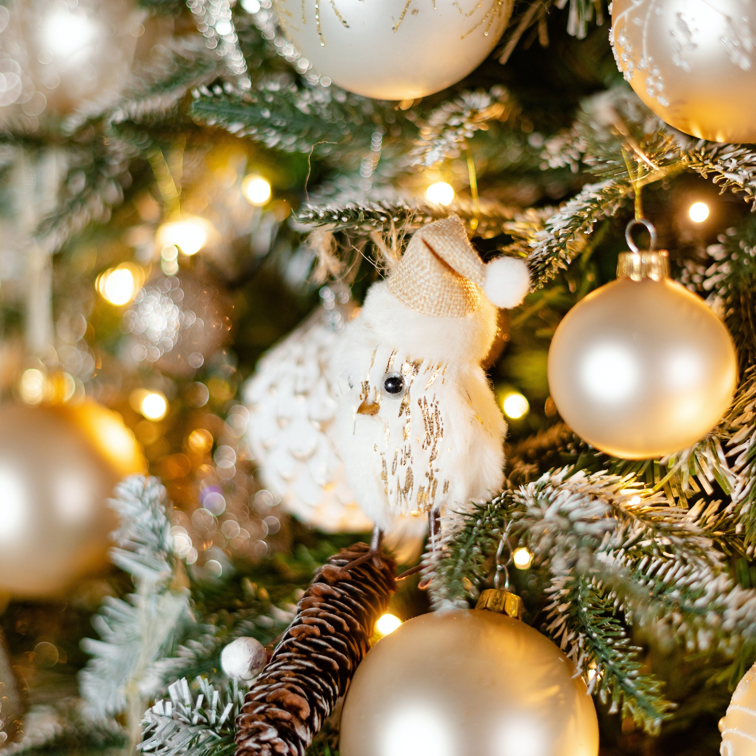 Отзывы. Детский и семейный фотограф в Сургуте и Нефтеюганске Анна Старцева