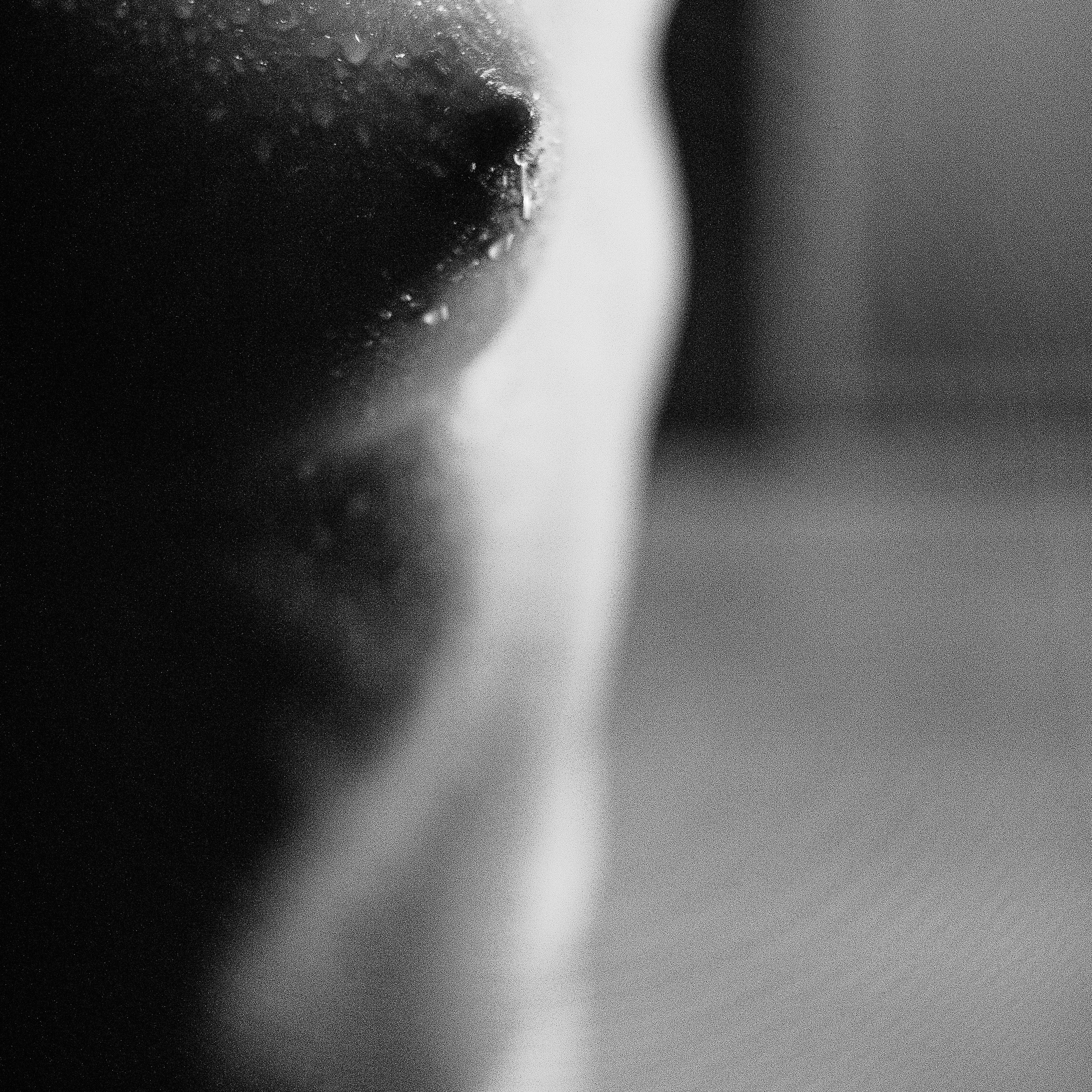 Прекрасная Лиза