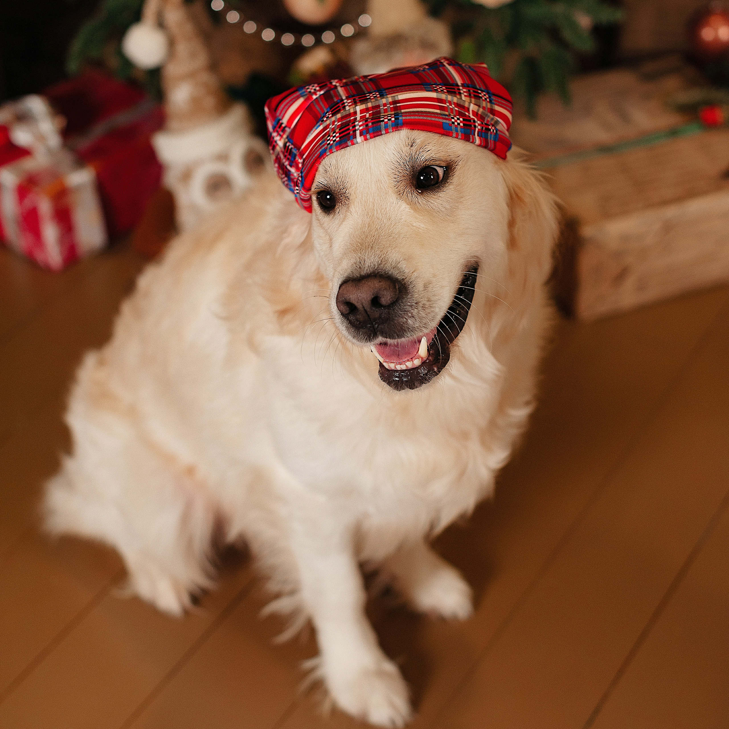 Семейная фотосессия в студии FormatLoft