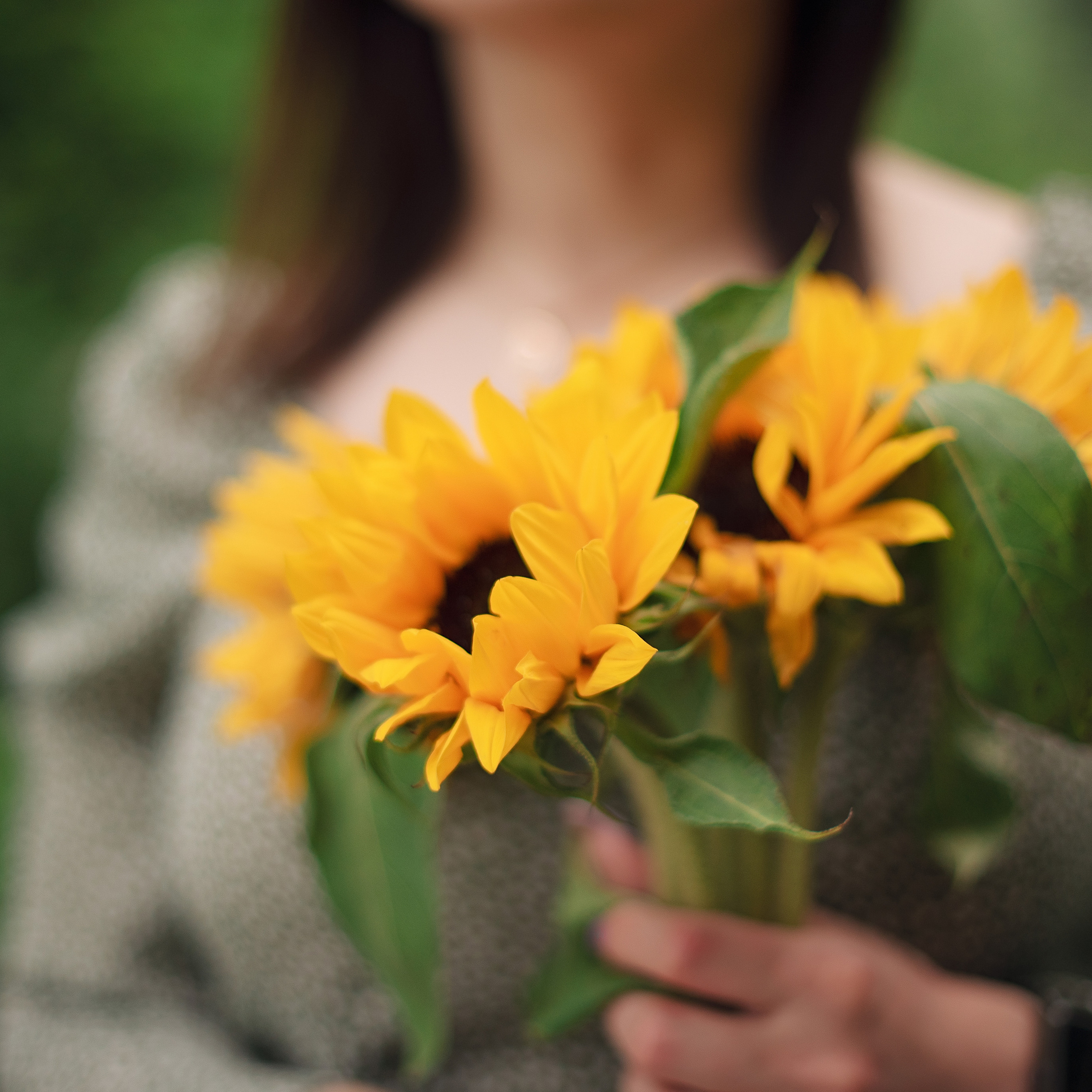 Айнура с подсолнухами