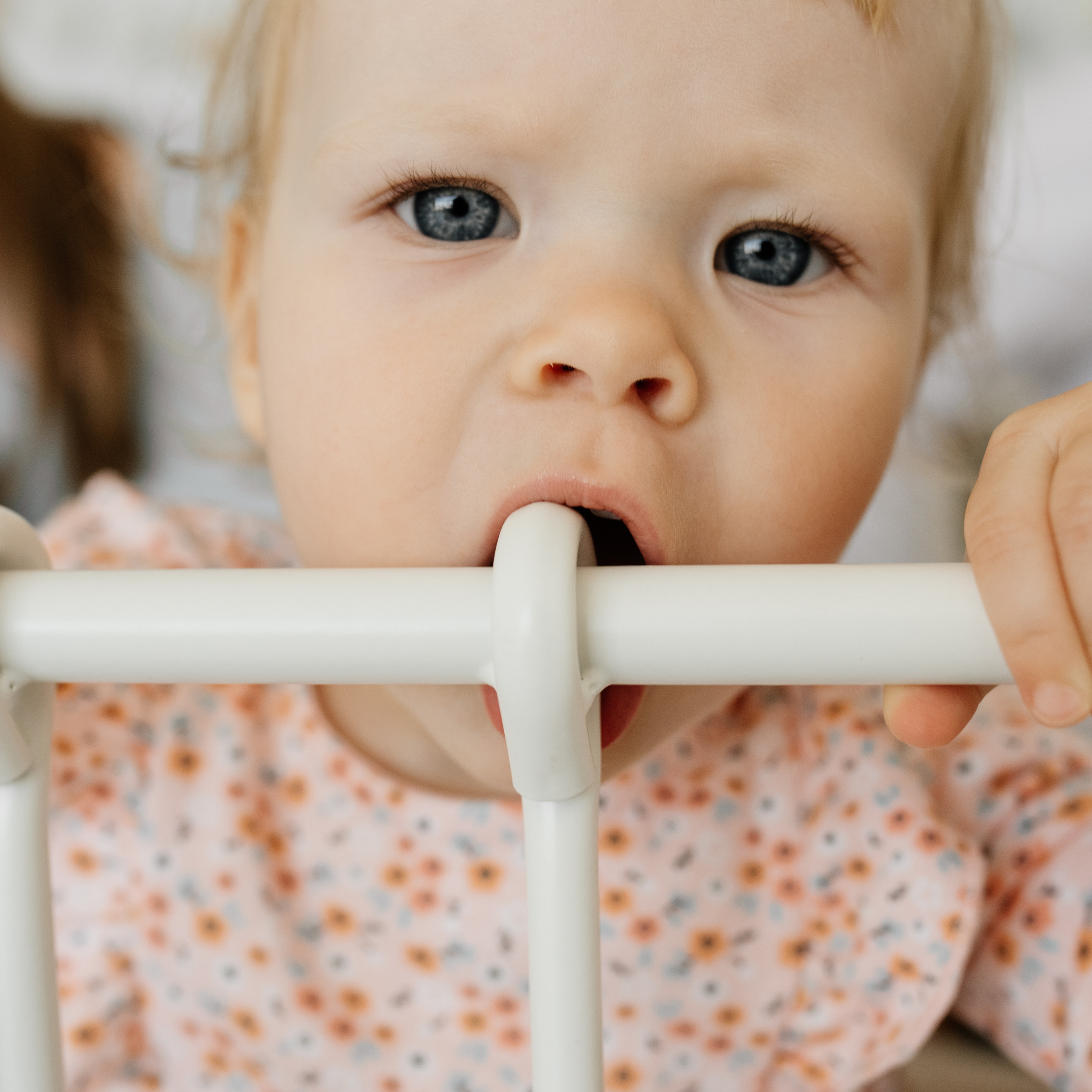 Отзывы. Семьи