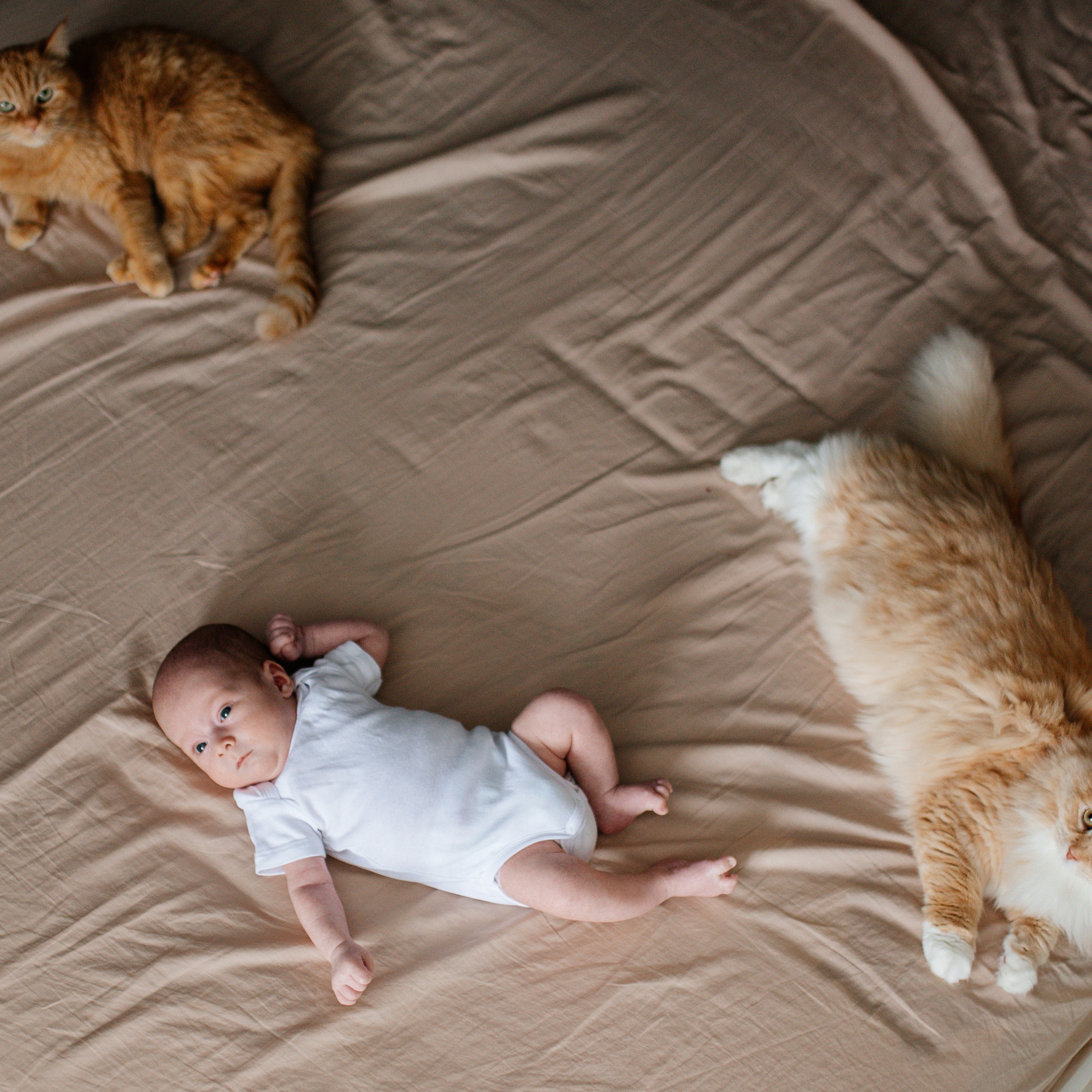 Слава Катя Ярослав