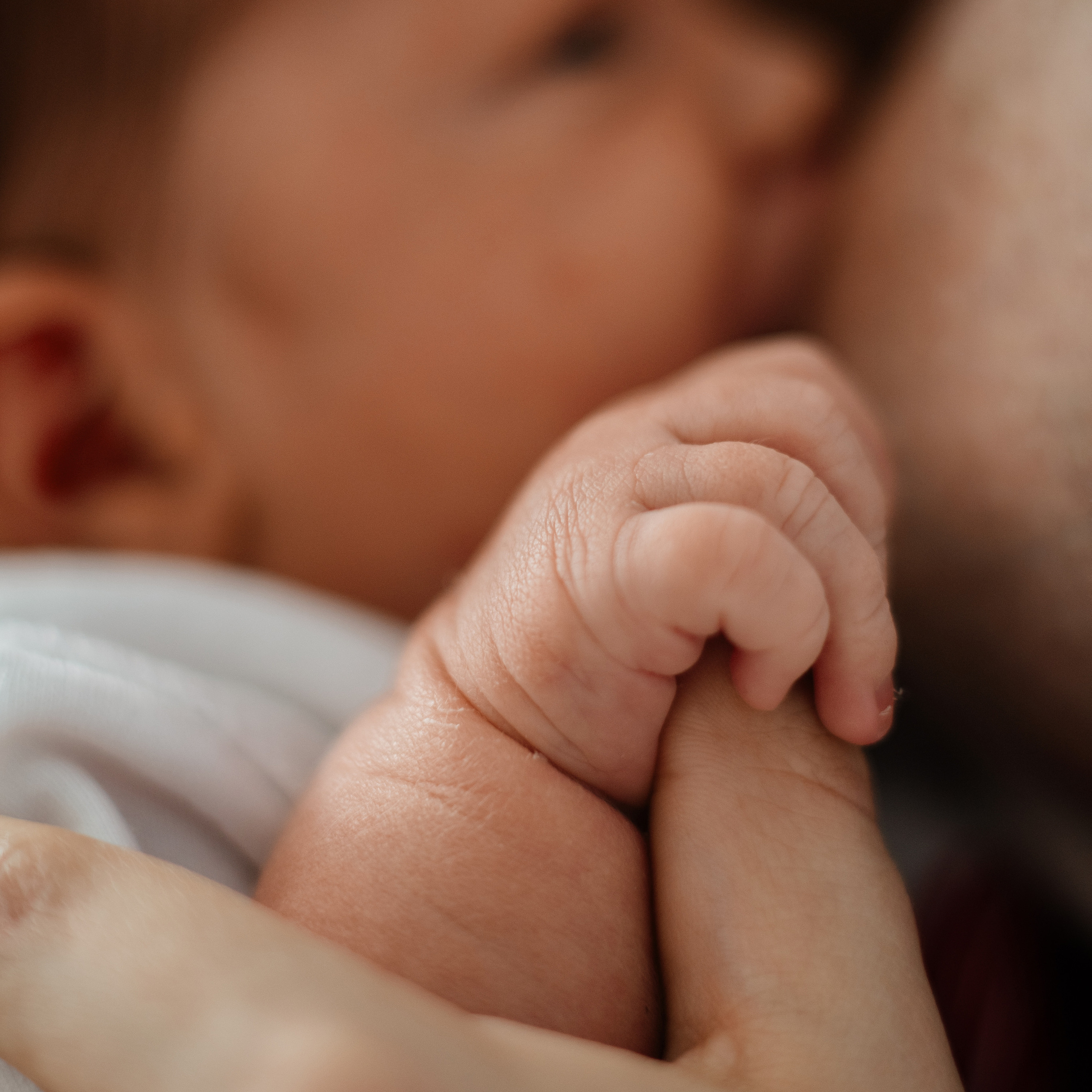 Лена Антон Алисочка