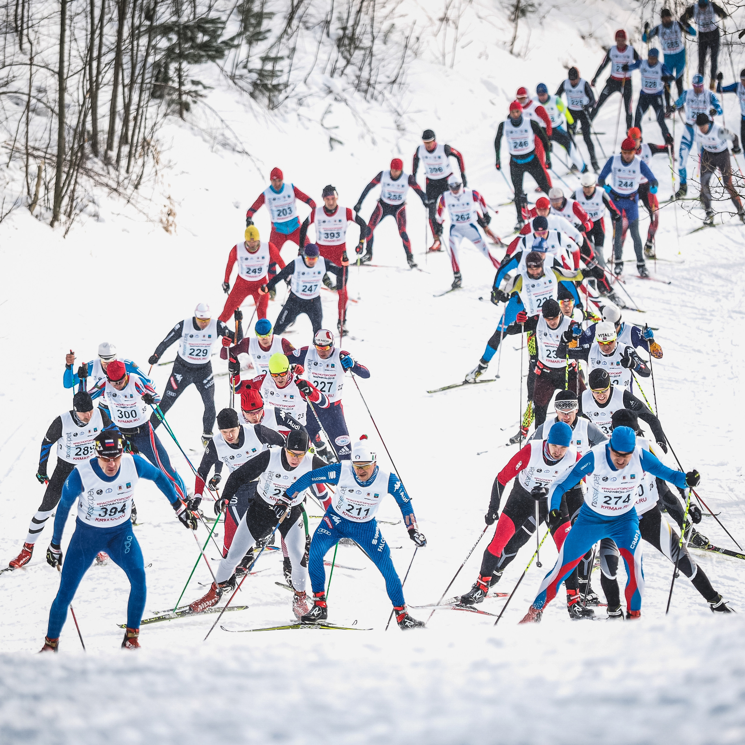Titan Сергиев Посад. Спортивный и репортажный фотограф Иван Счетчиков