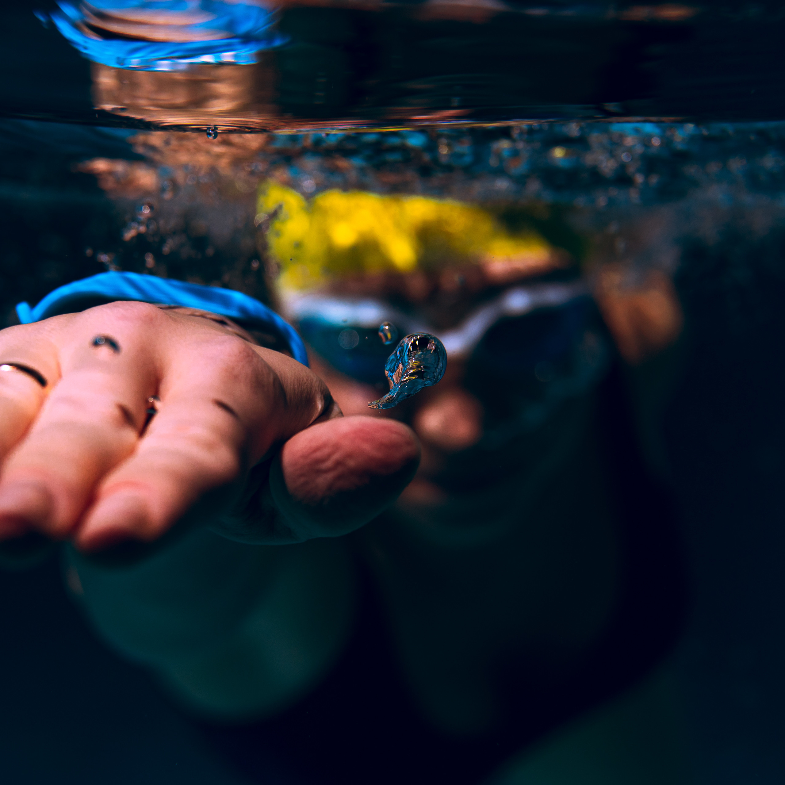 Галерея. Спортивный и репортажный фотограф Иван Счетчиков