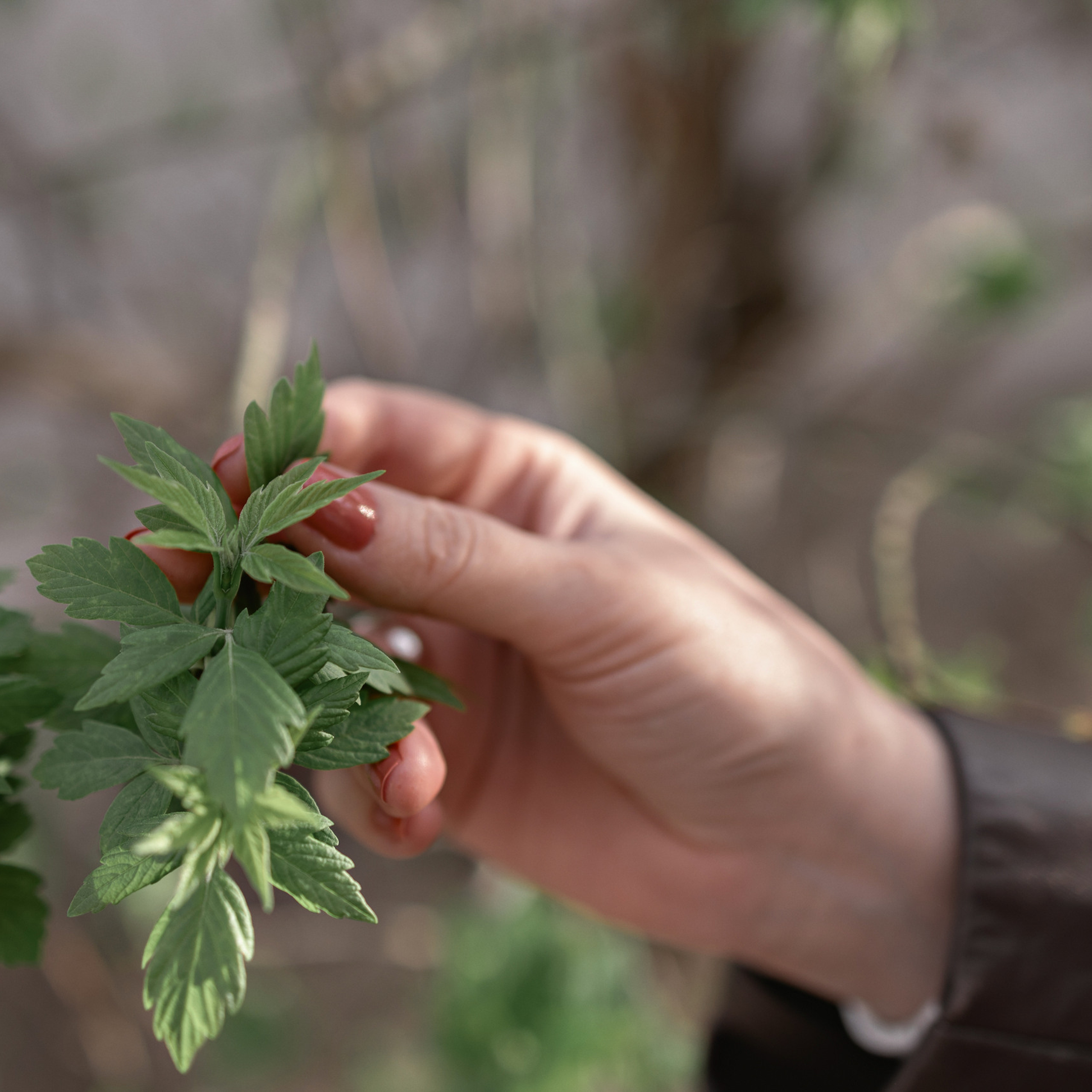 Отзывы. Татьяна Бесчастнова. Ваш семейный фотограф