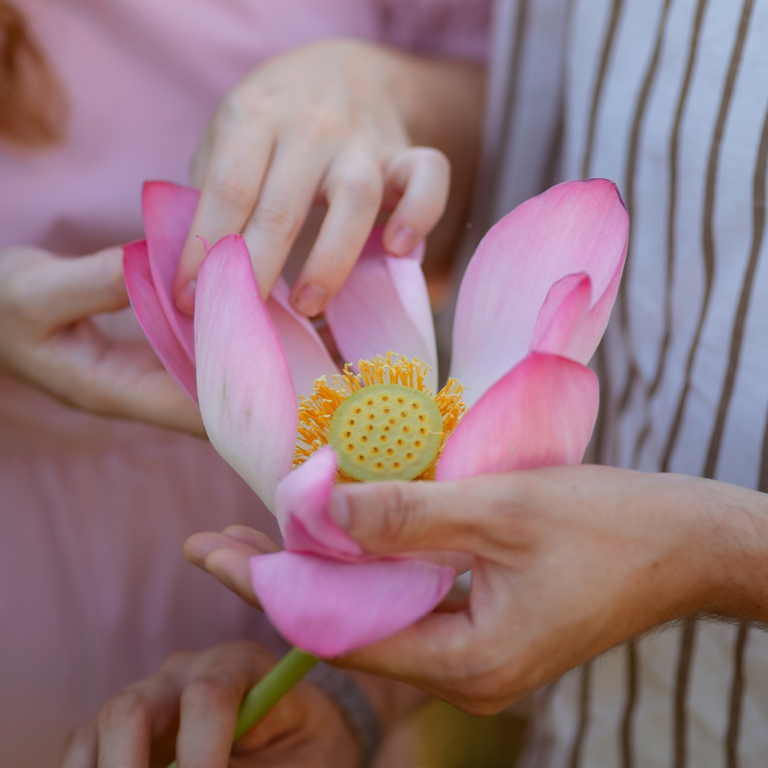 Отзывы. Татьяна Бесчастнова. Ваш семейный фотограф