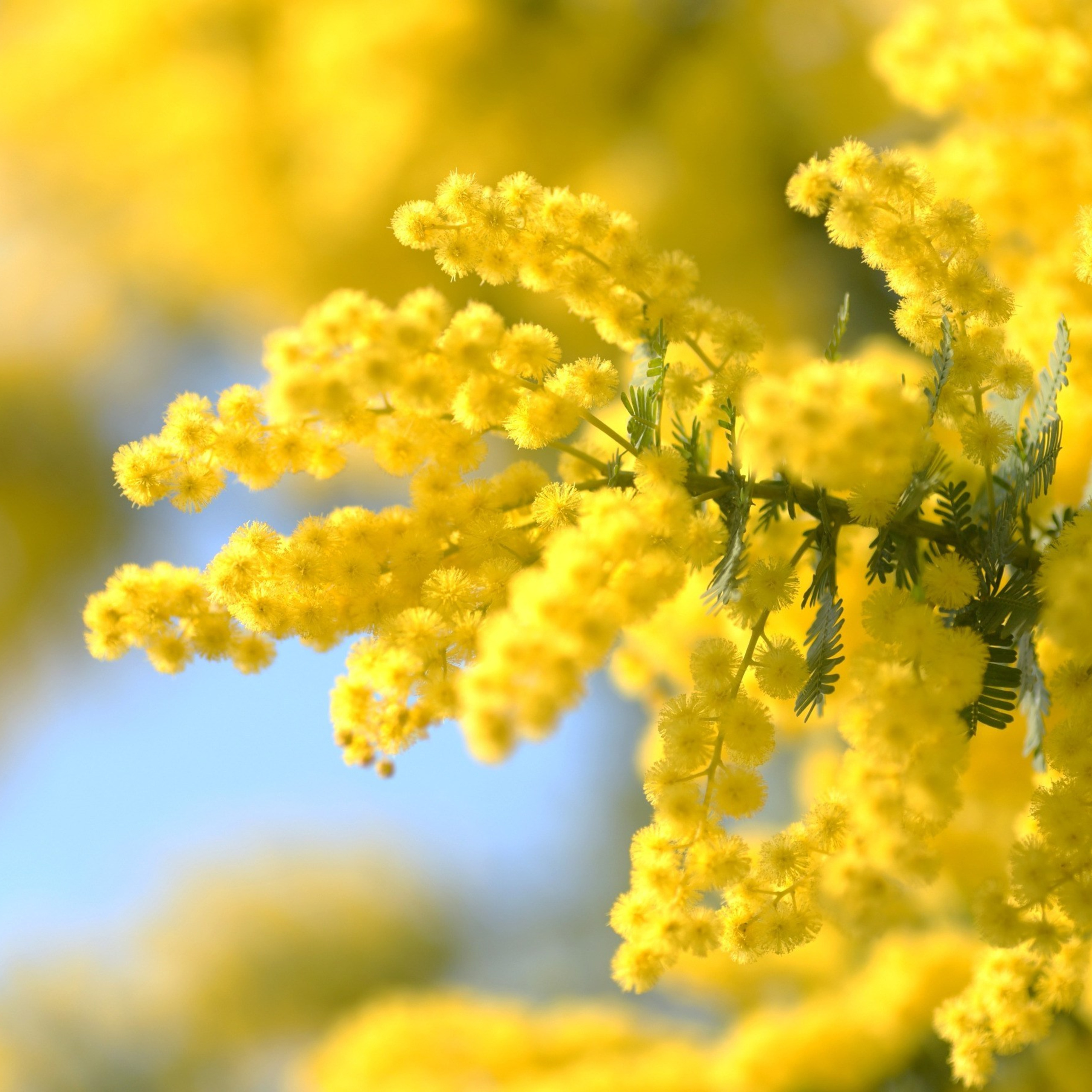 Отзывы. Свадебный, семейный фотограф в Раменском, Москве и Подмосковье