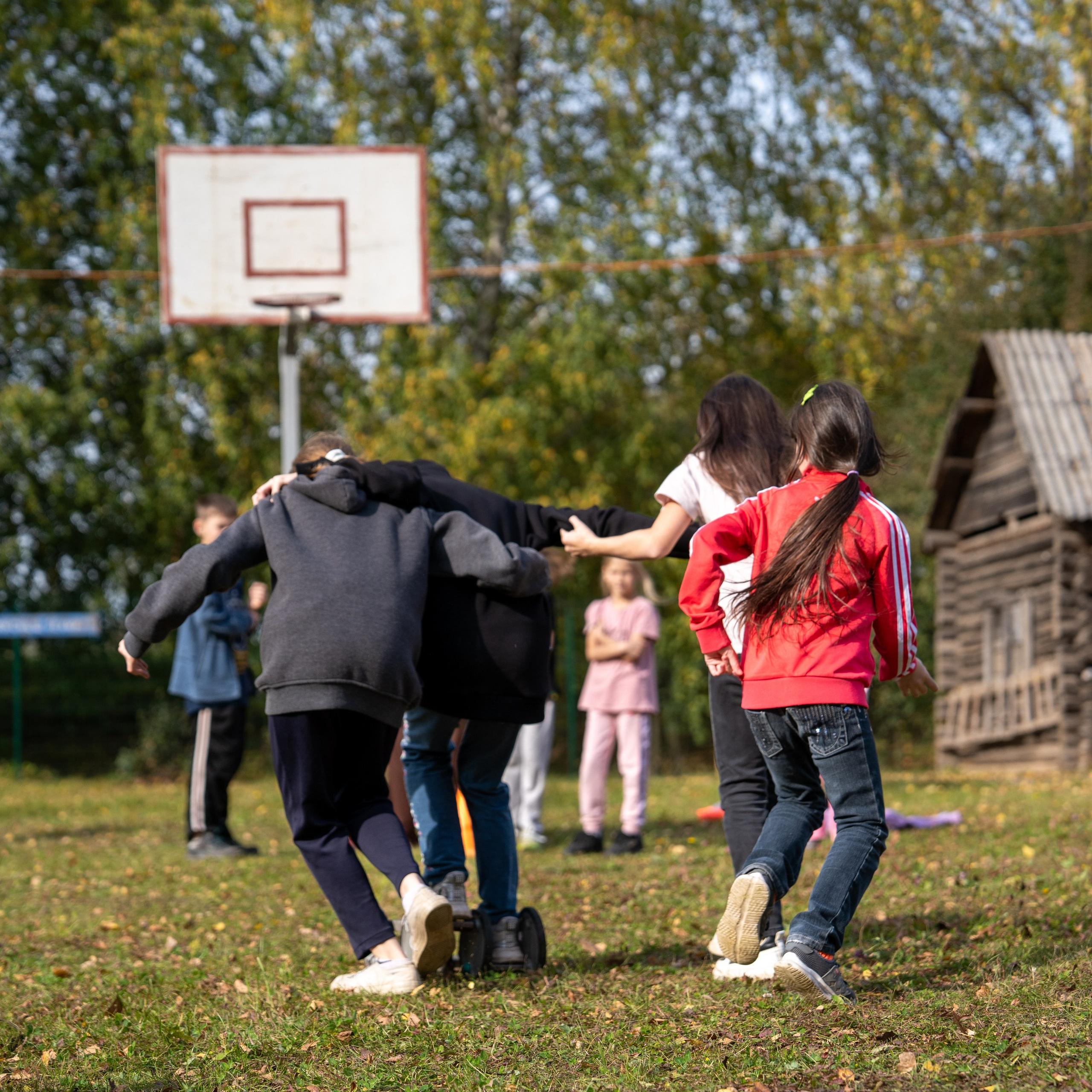 Мототерапия Нылга