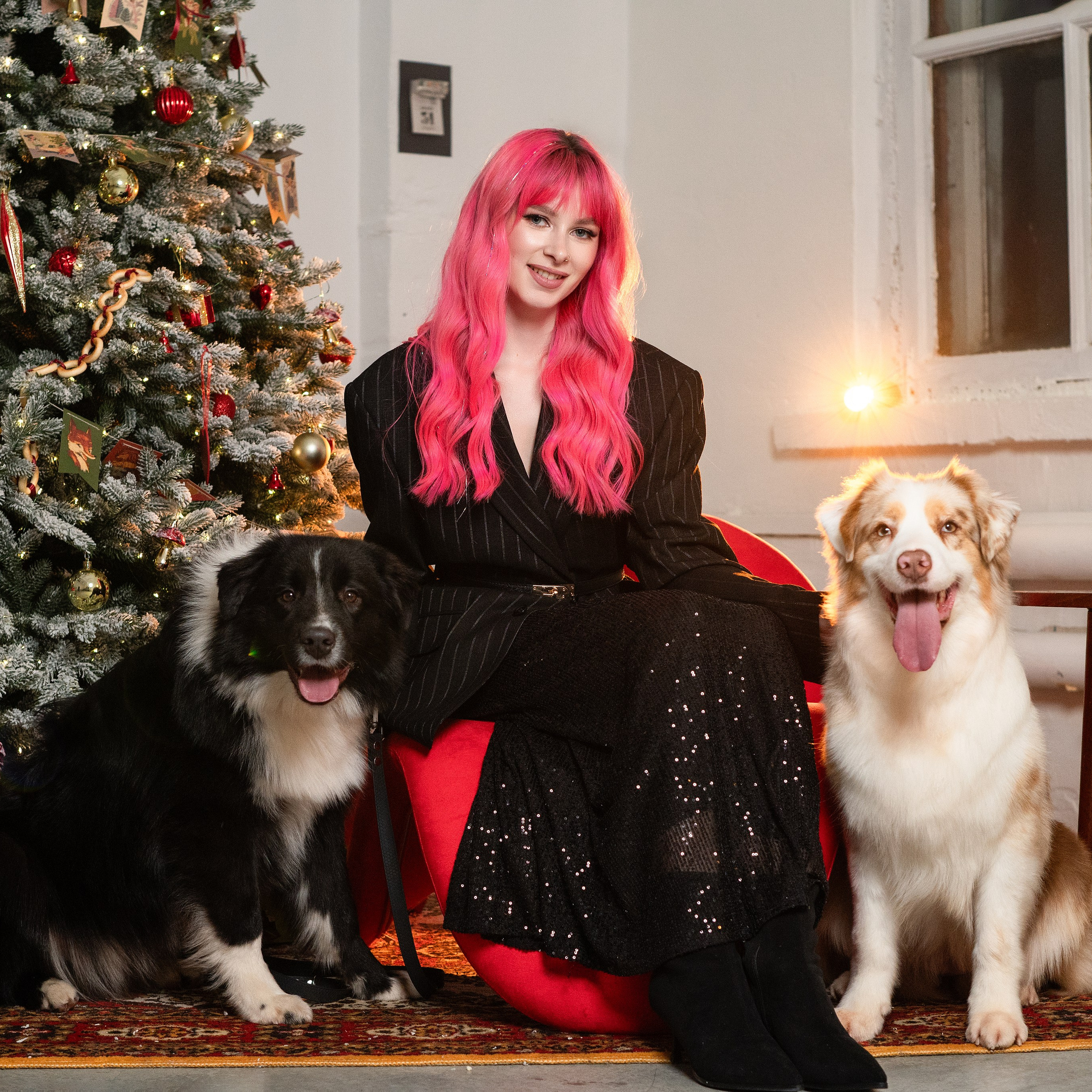 Фотодень с Австралийской овчаркой