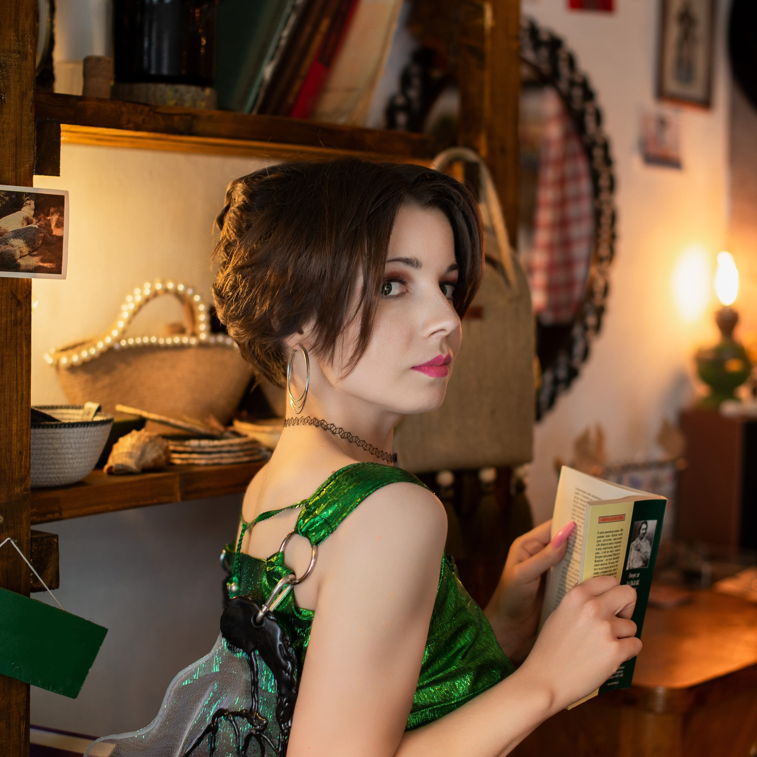 Образ мухи Наташи, из романа В. Пелевина «Жизнь насекомых»