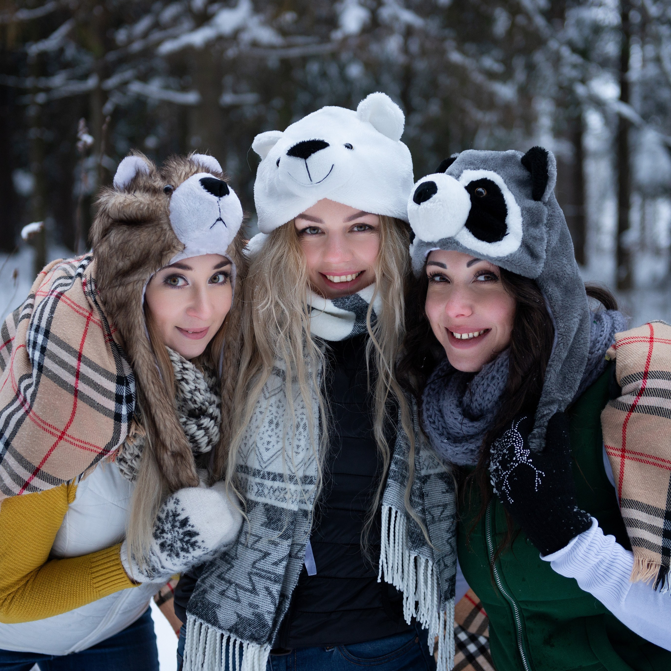 Зимний лес прекрасен